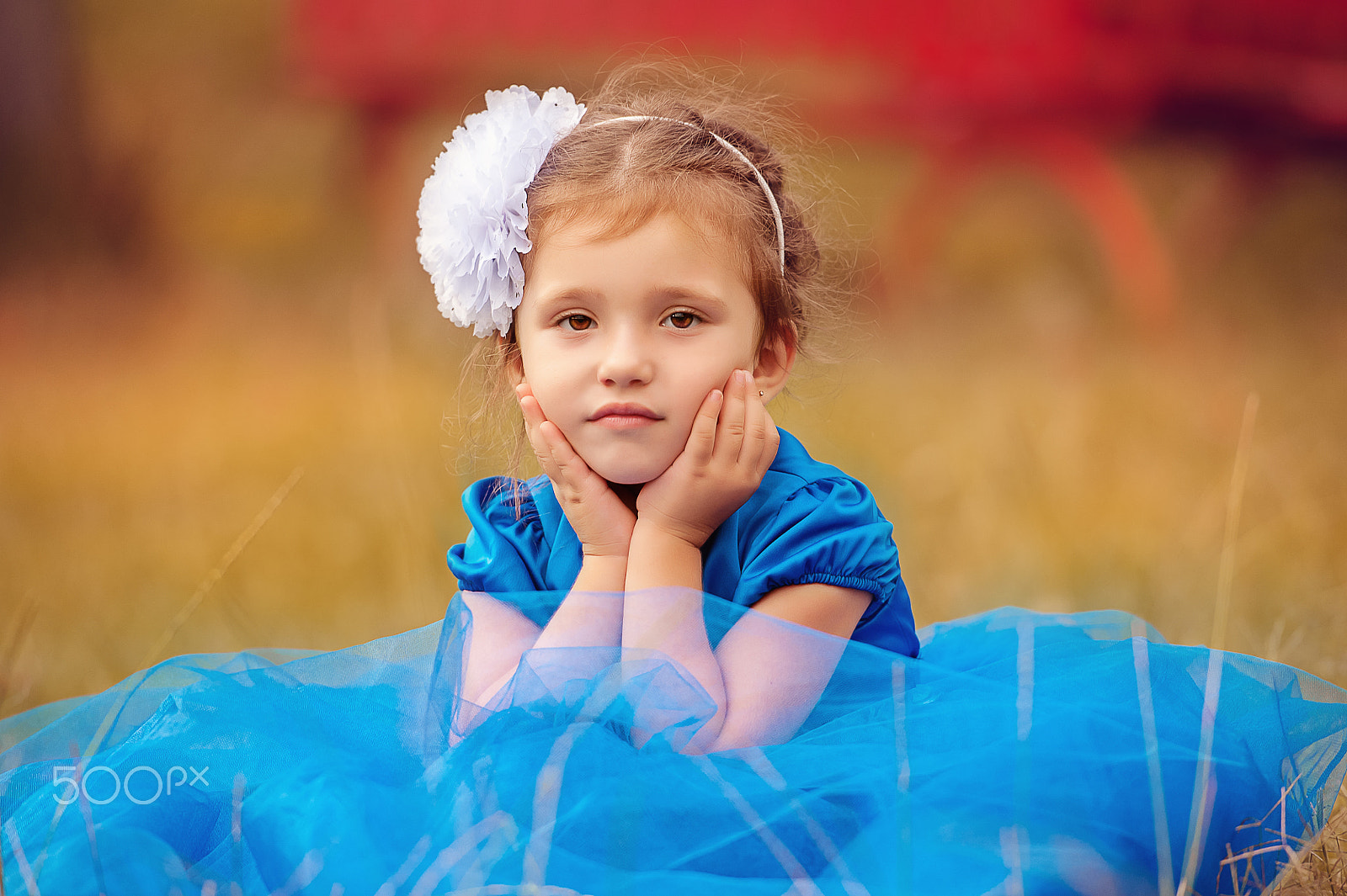 Nikon D3 sample photo. Little girl photography