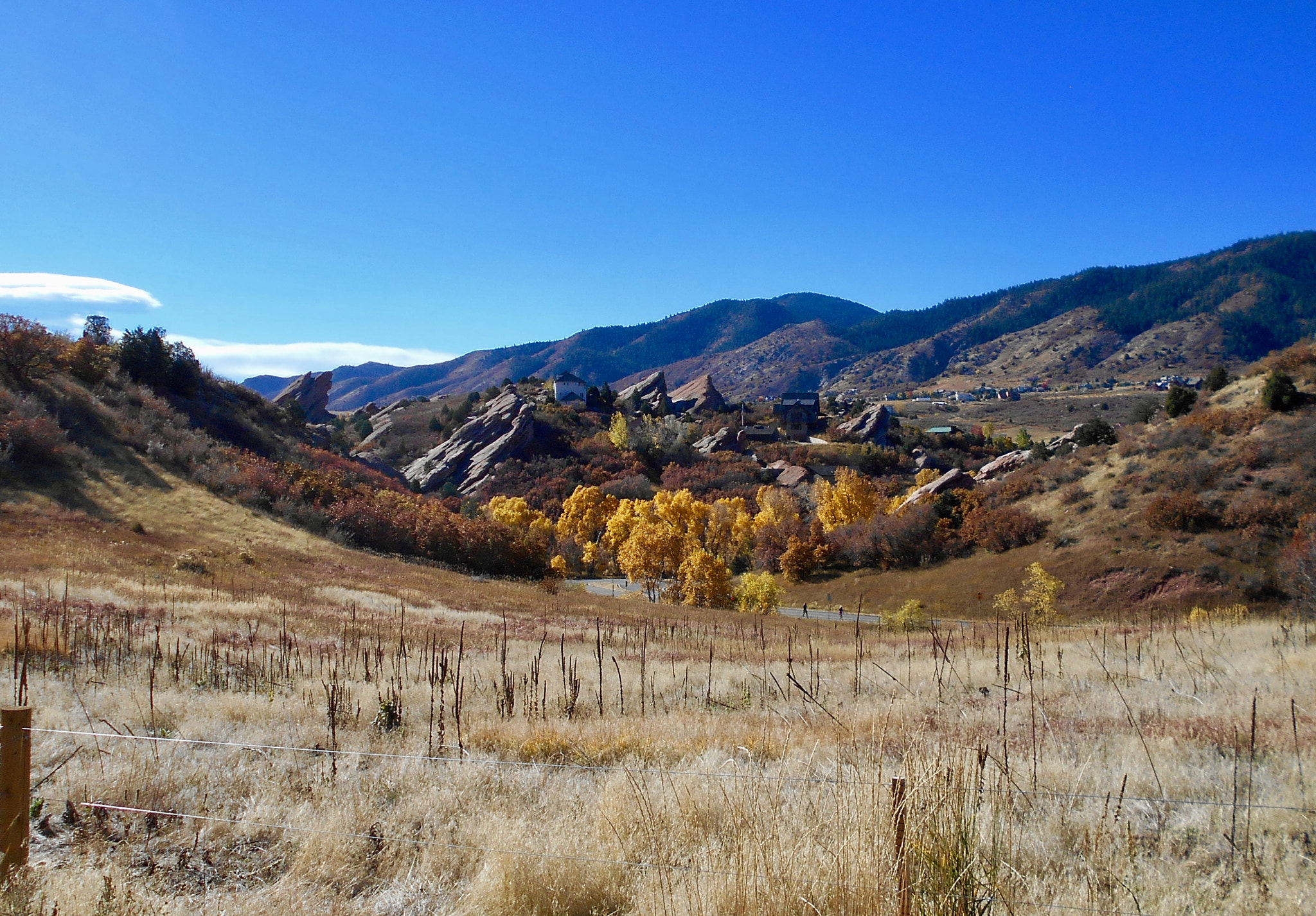Nikon Coolpix S2900 sample photo. Taken at south valley park, colorado on an early fall day photography