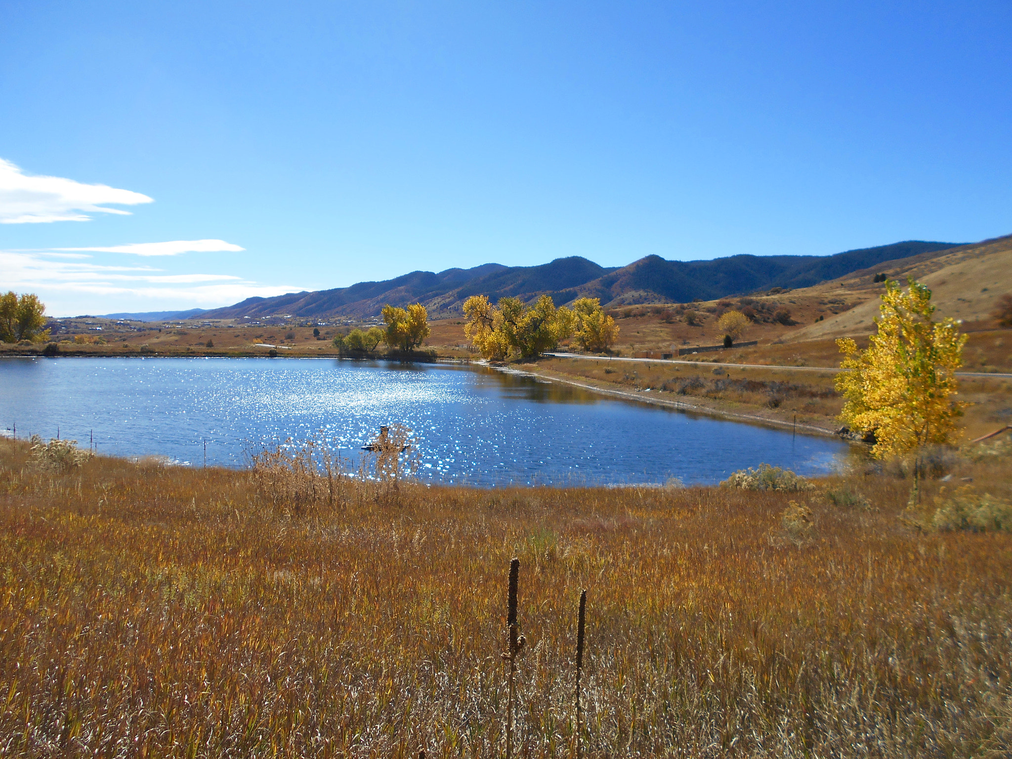 Nikon Coolpix S2900 sample photo. Taken at south valley park, colorado on an early fall day. photography