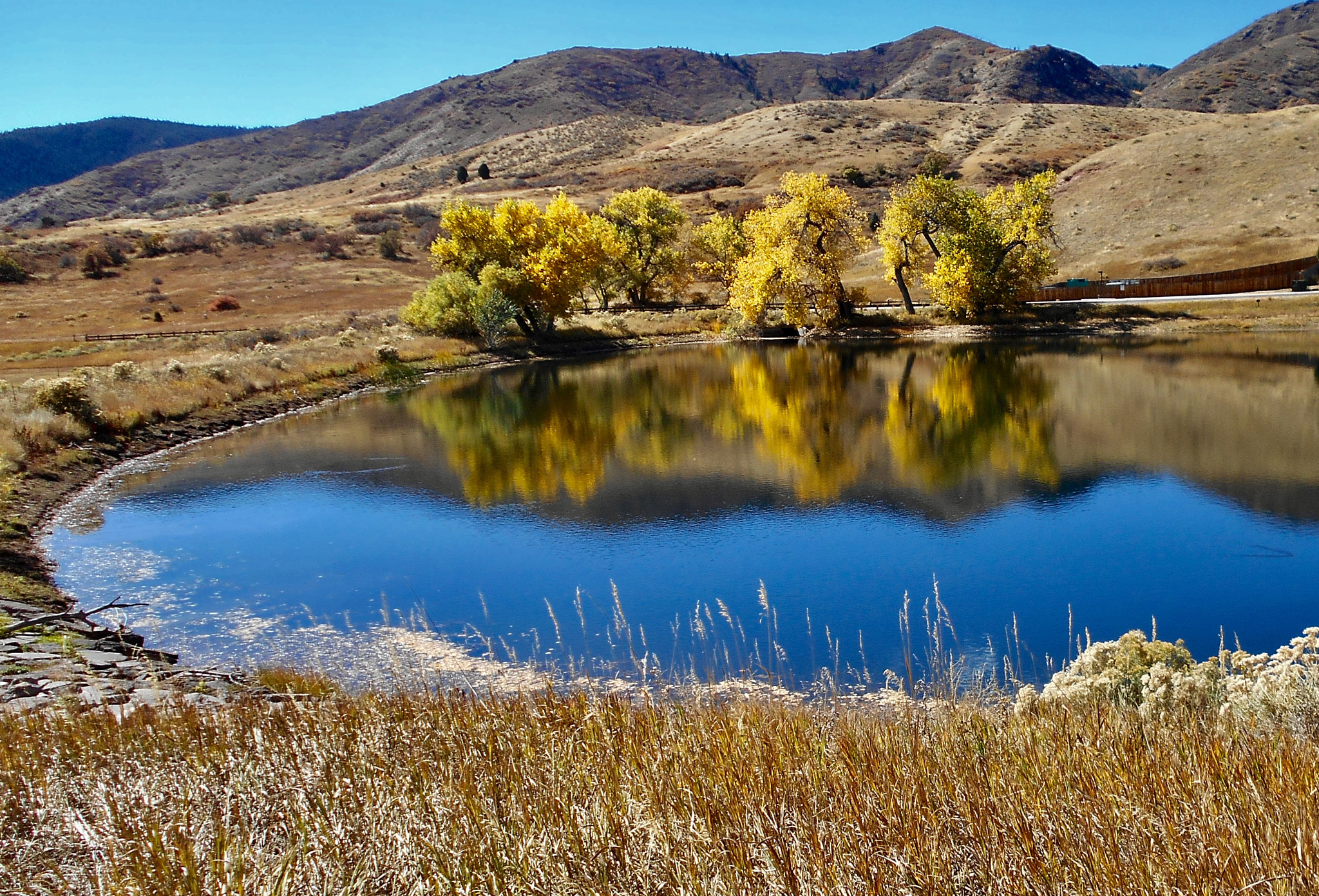 Nikon Coolpix S2900 sample photo. Taken at south valley park, colorado on an early fall day. photography