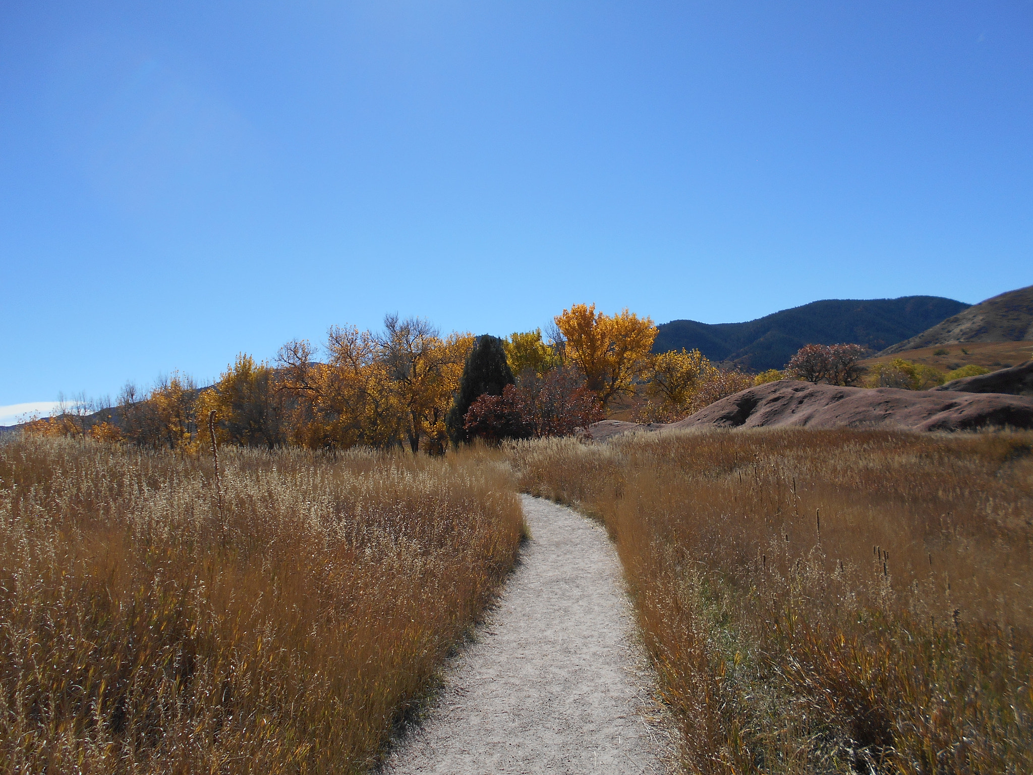 Nikon Coolpix S2900 sample photo. Taken at south valley park, colorado on an early fall day. photography