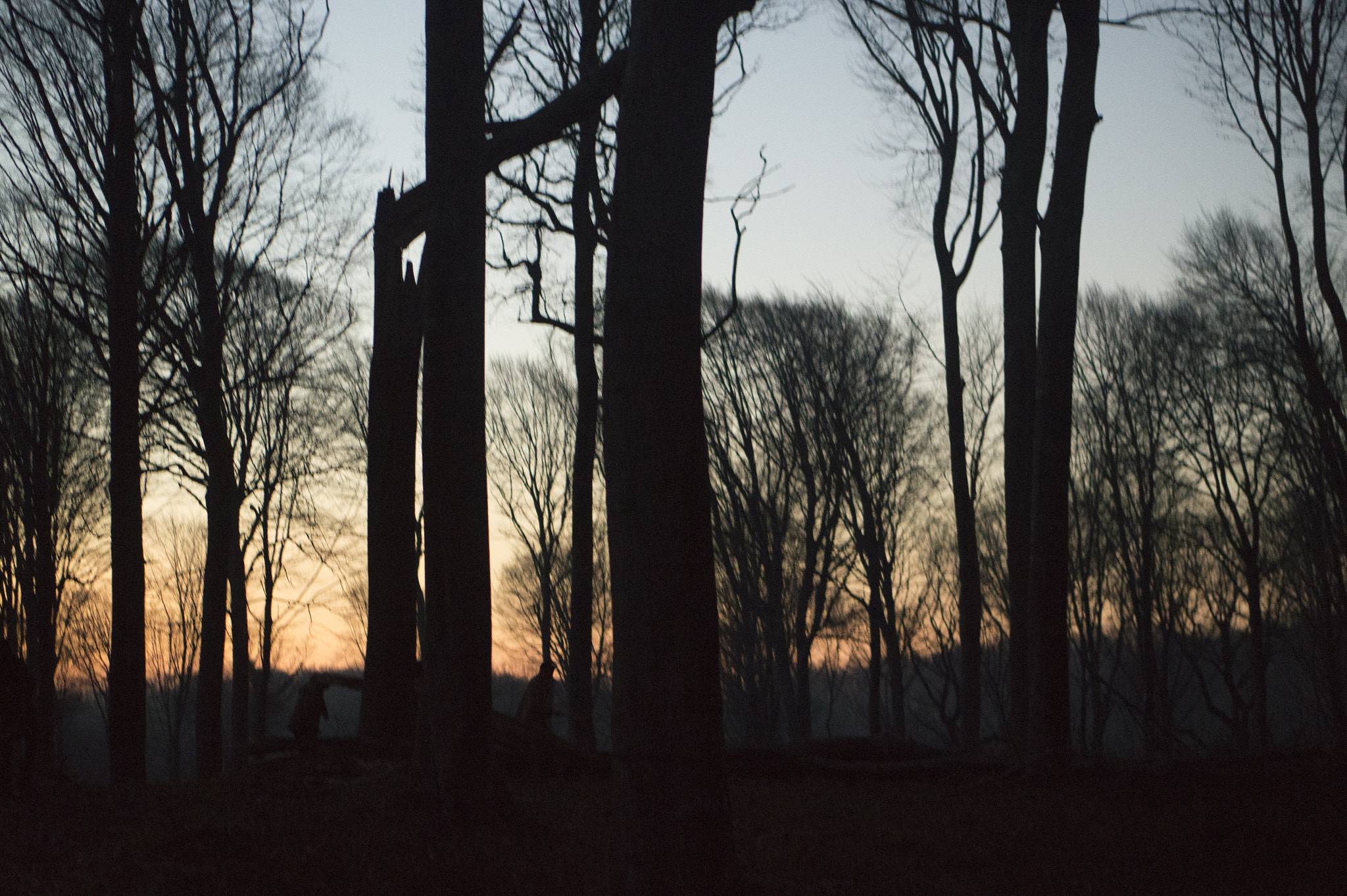 Sony Alpha a5000 (ILCE 5000) + E 50mm F1.8 OSS sample photo. Hiking in woods photography