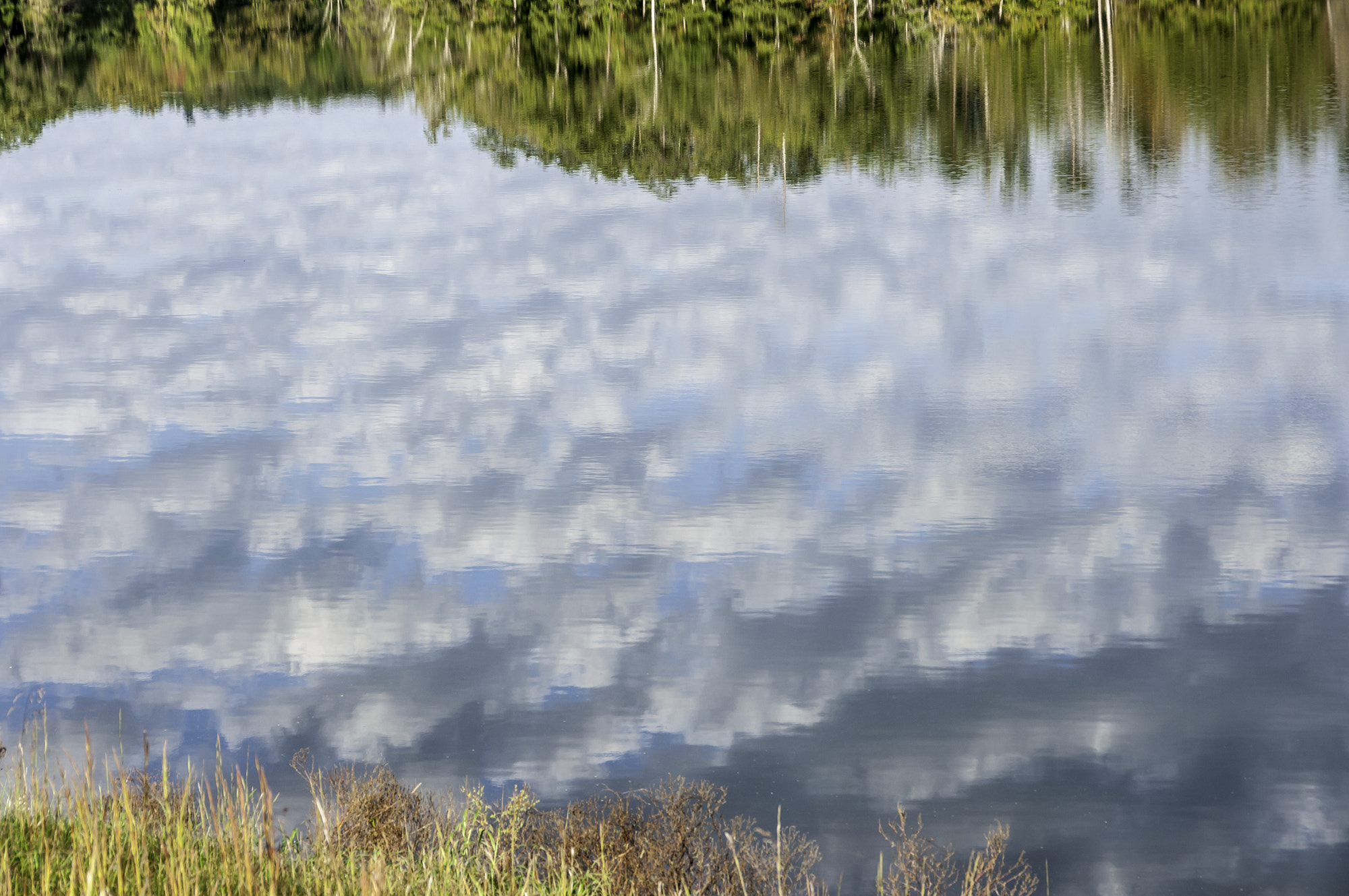 Pentax K20D sample photo. Morning walk at deams lake photography