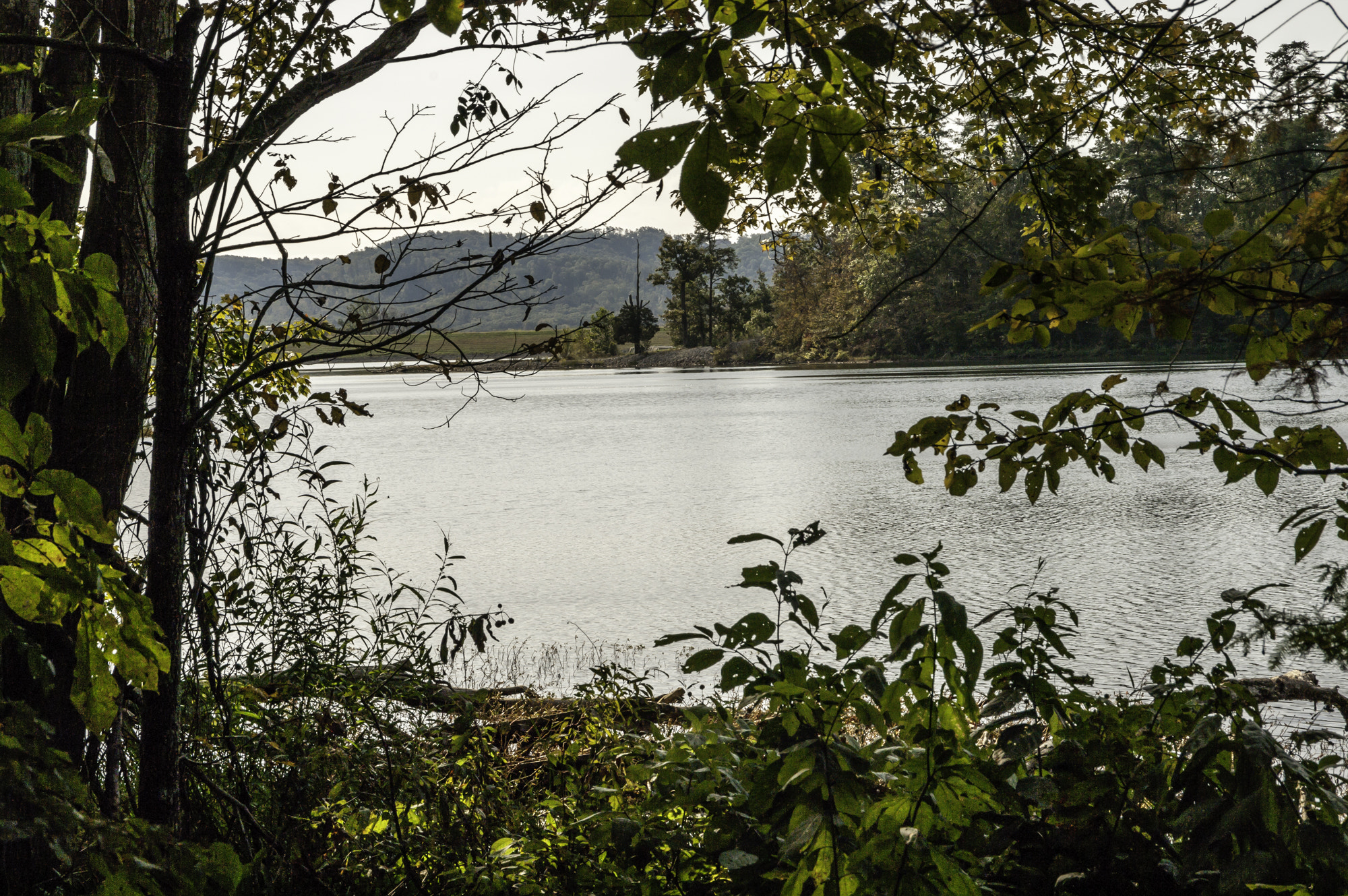 Pentax K20D sample photo. Morning walk at deams lake photography