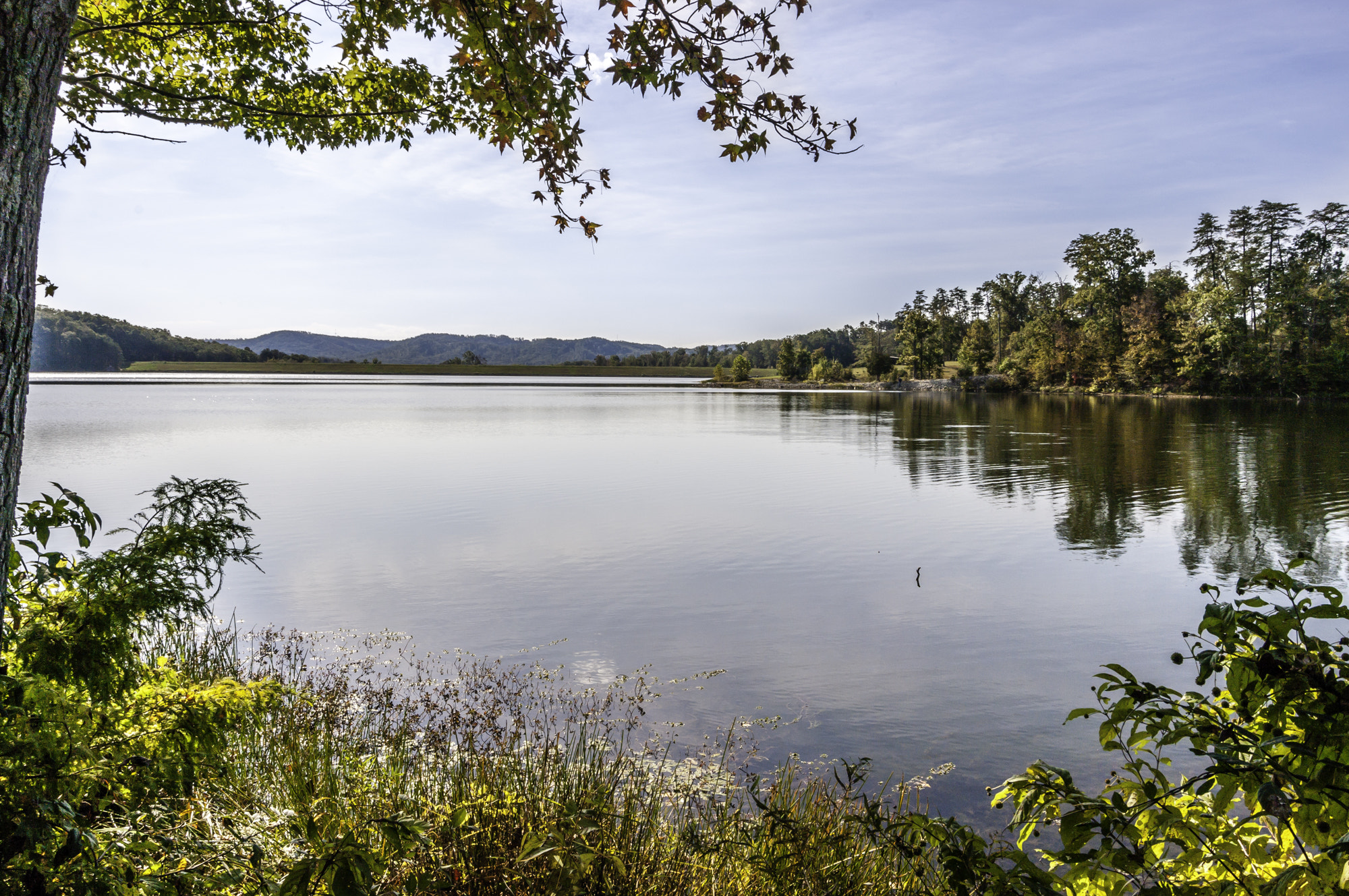 Pentax K20D sample photo. Morning walk at deams lake photography