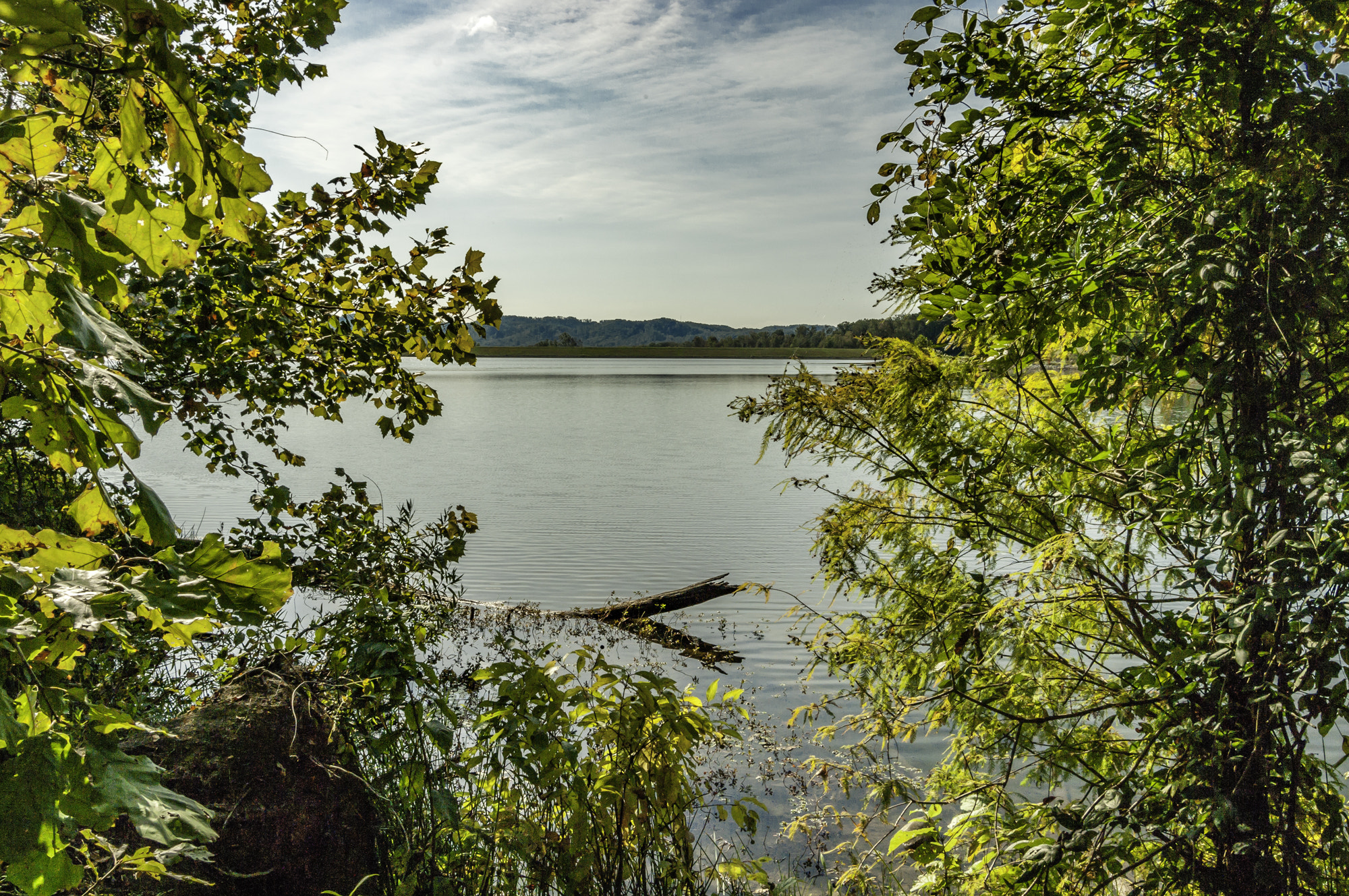 Pentax K20D sample photo. Morning walk at deams lake photography