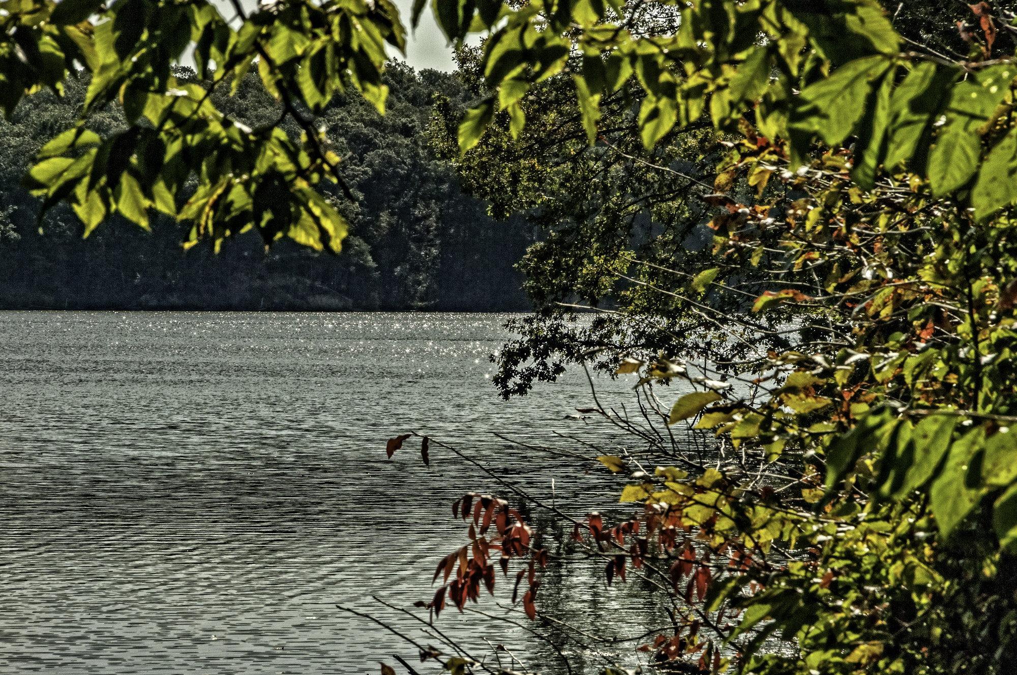 Pentax K20D sample photo. Morning walk at deams lake photography