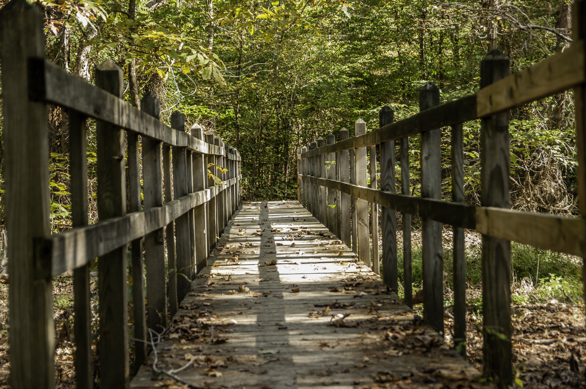 Pentax K20D sample photo. Bridge to path photography