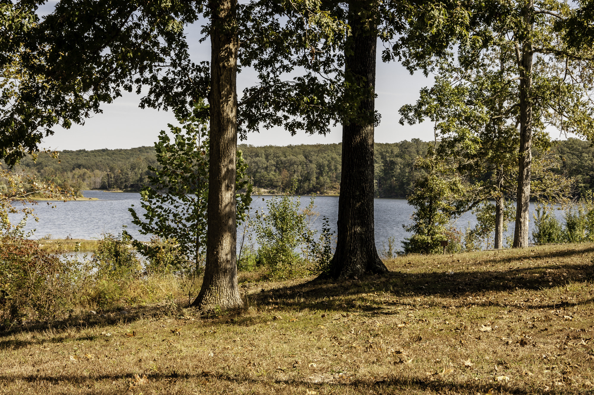 Pentax K20D sample photo. Morning walk at deams lake photography