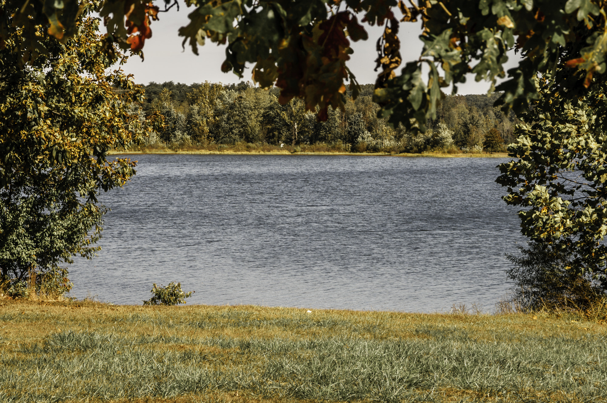 Pentax K20D sample photo. Morning walk at deams lake photography