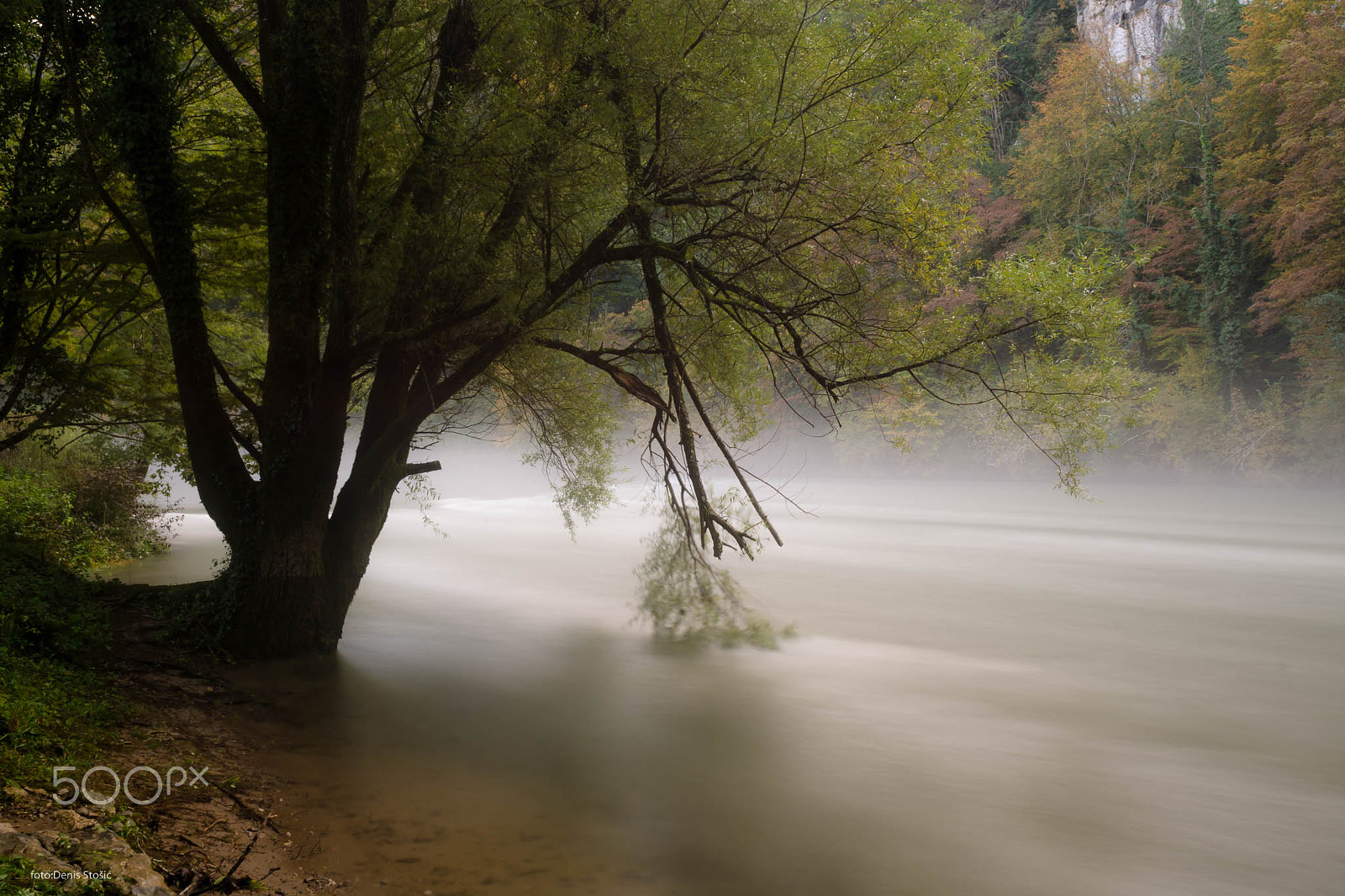 Nikon D7100 + Nikon AF Nikkor 24mm F2.8D sample photo. Foggy afternoon photography