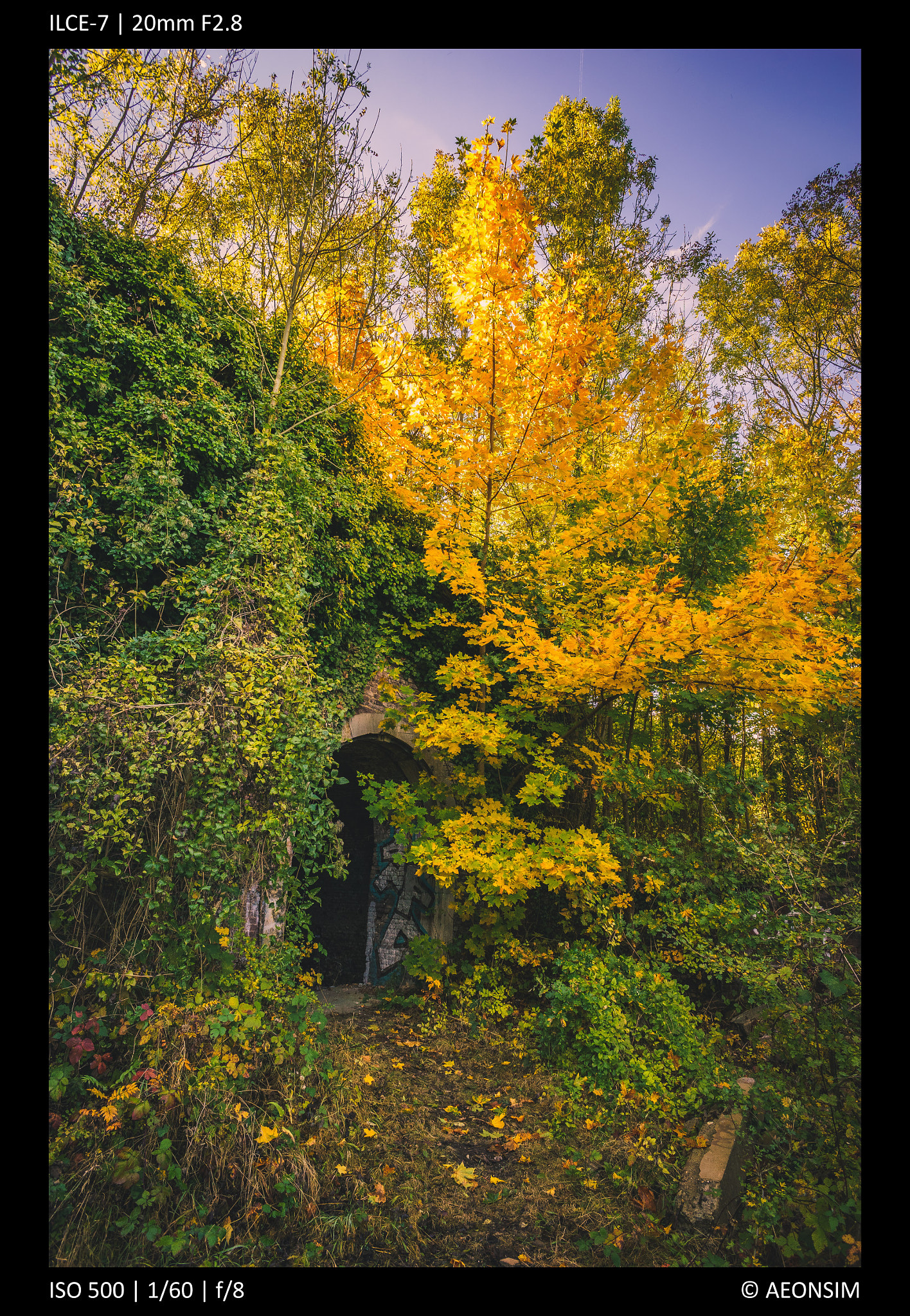 Sony a7 + Sony 20mm F2.8 sample photo. Autumn in the ruins photography