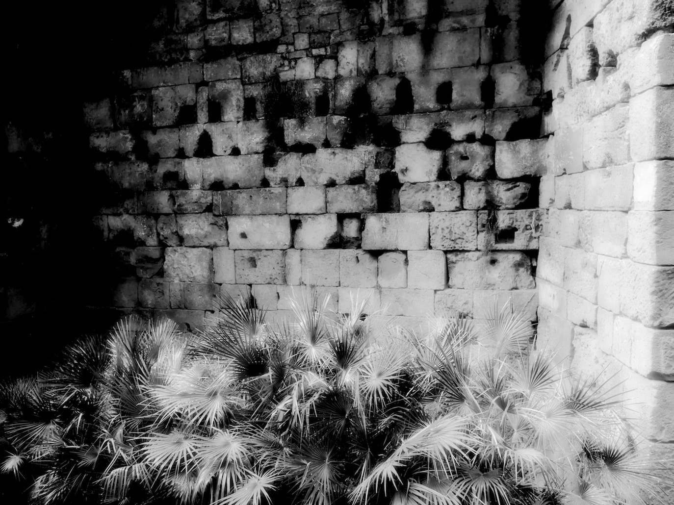 Panasonic Lumix DMC-GH4 + Panasonic Lumix G Vario 7-14mm F4 ASPH sample photo. Old stone wall photography