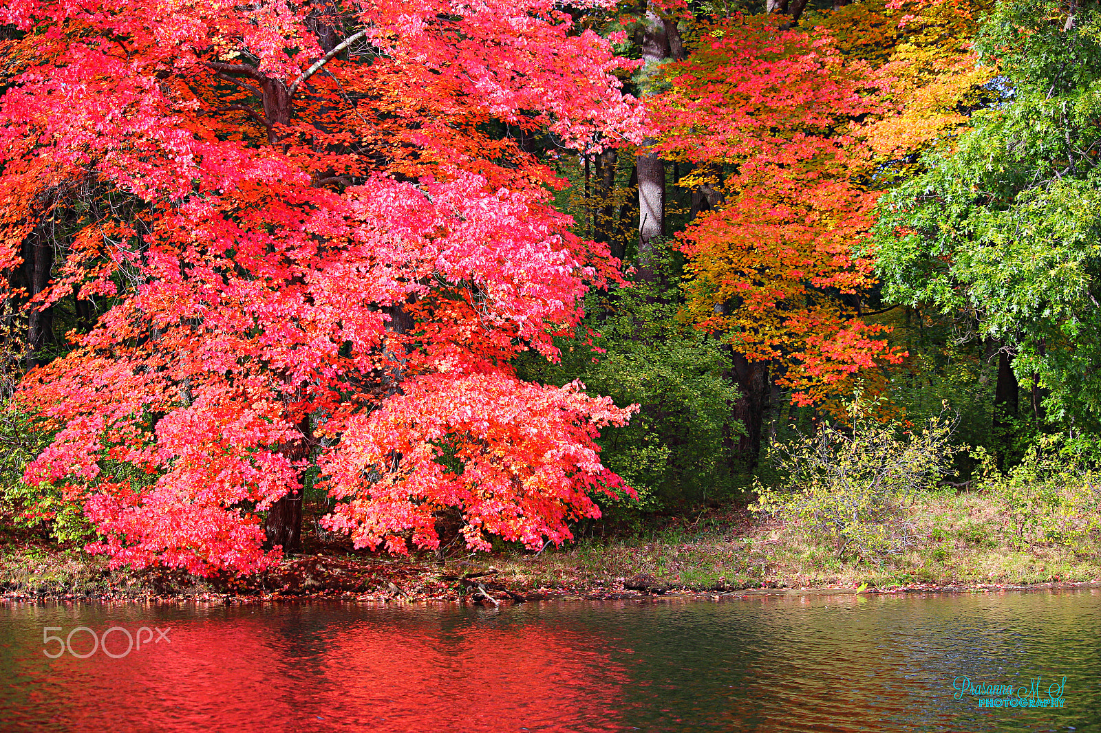 Canon EOS 600D (Rebel EOS T3i / EOS Kiss X5) + 55.0 - 250.0 mm sample photo. Fall color reflections photography