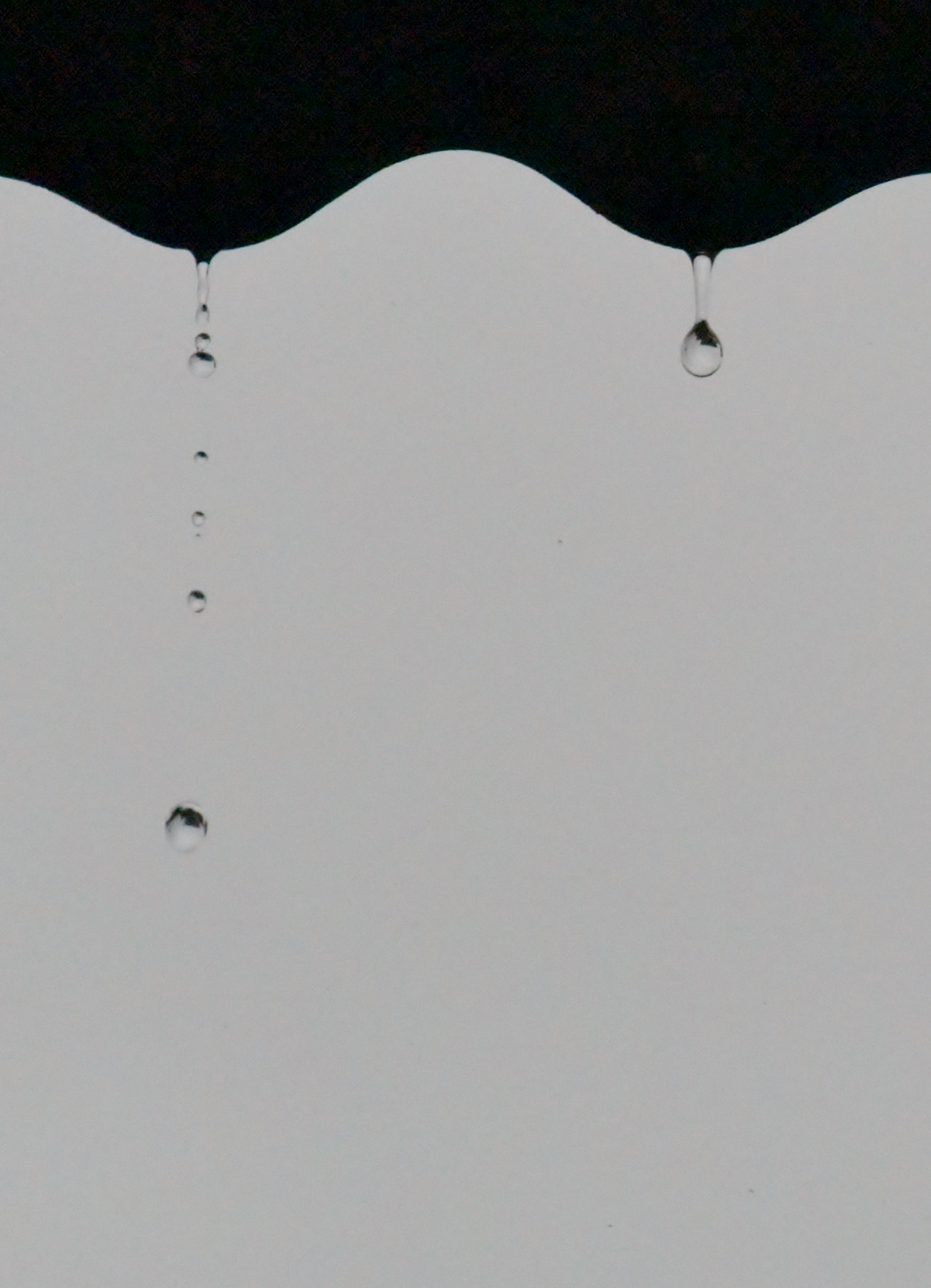 Nikon 1 J4 sample photo. Raindrop photography