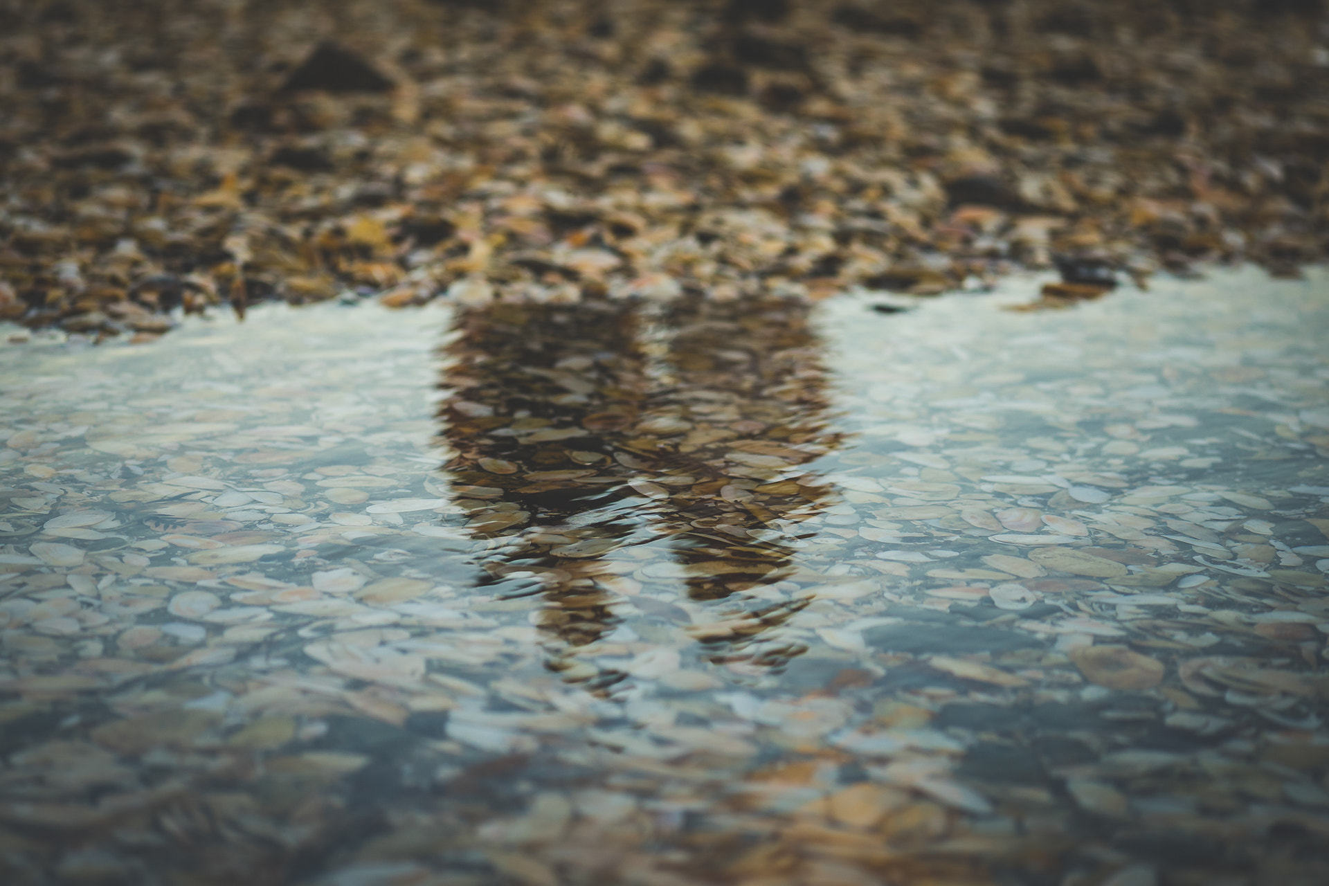 Sony a7R + E 60mm F2.8 sample photo. Gemma & luke photography