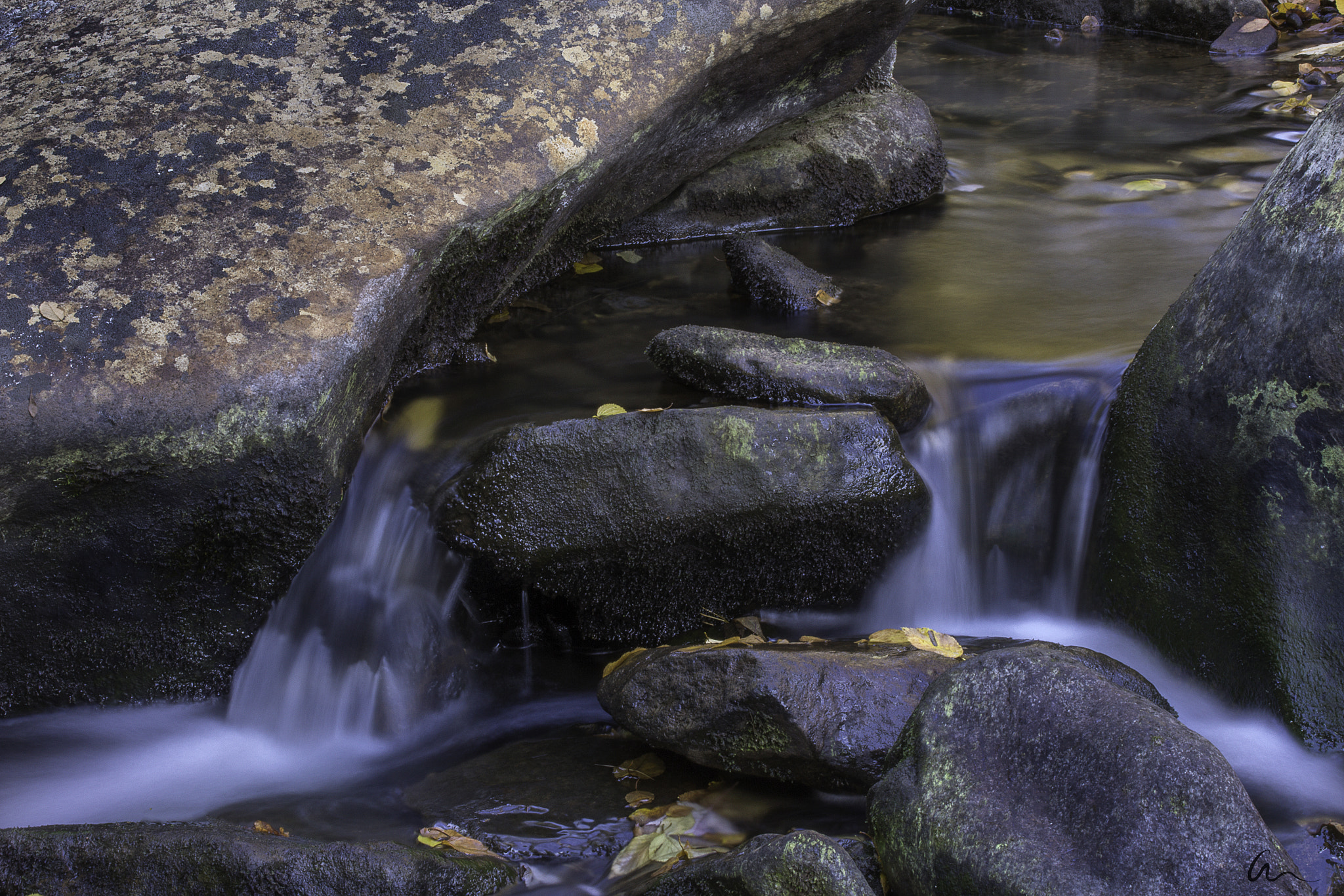 Canon EF-S 60mm F2.8 Macro USM sample photo. Older than time photography