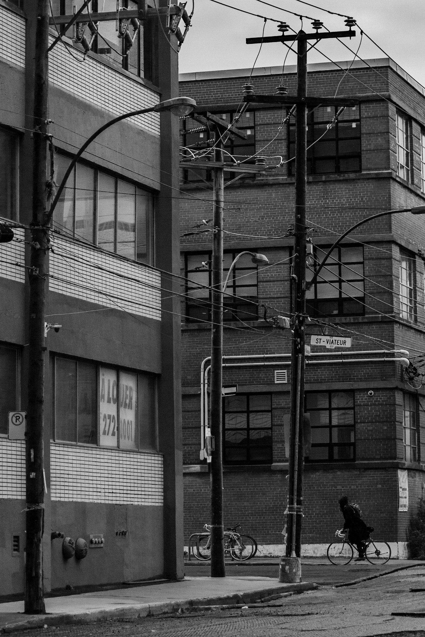 Canon EOS 450D (EOS Rebel XSi / EOS Kiss X2) sample photo. Gray sunday photography