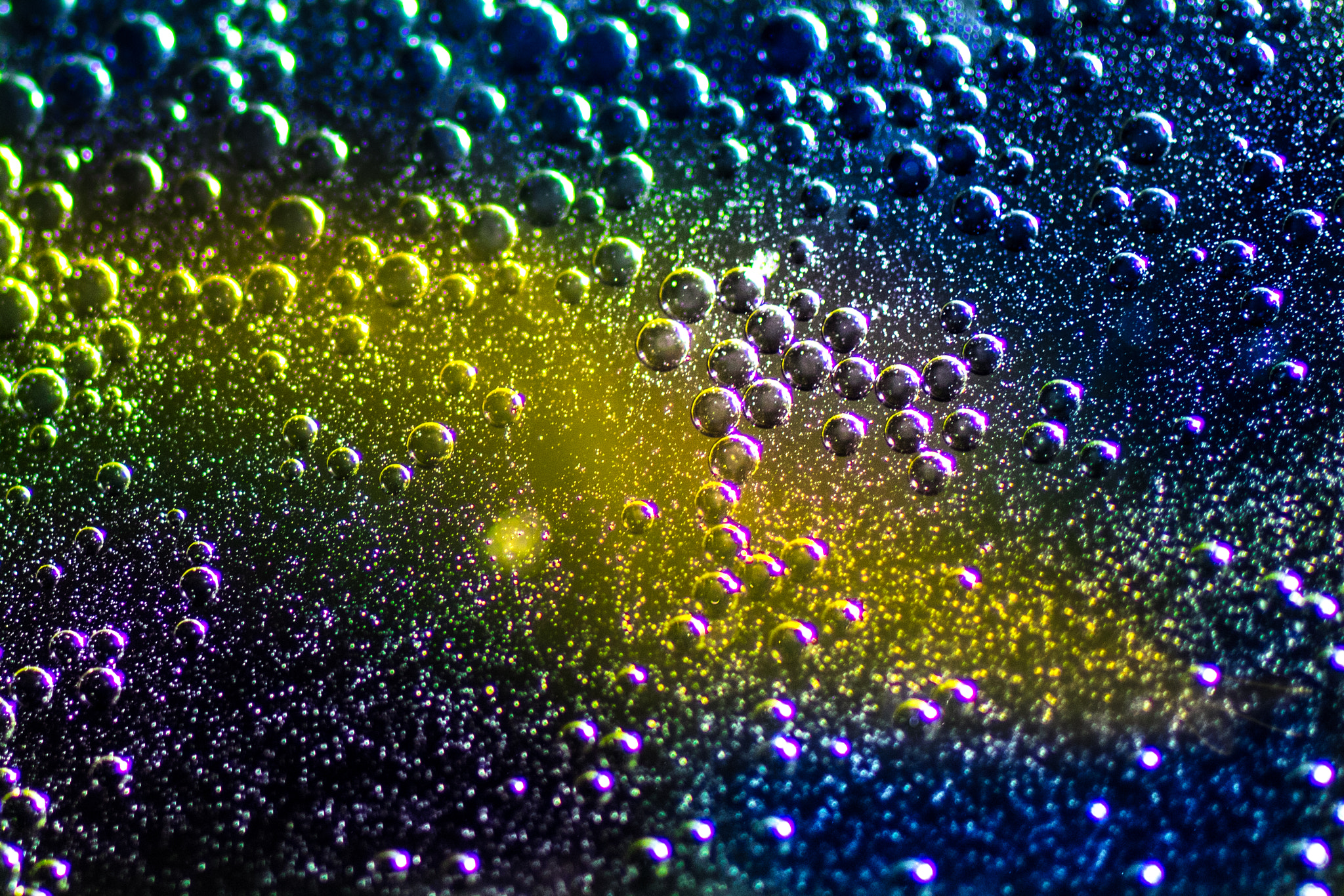 Canon EF 50mm F2.5 Macro sample photo. 192837465 photography