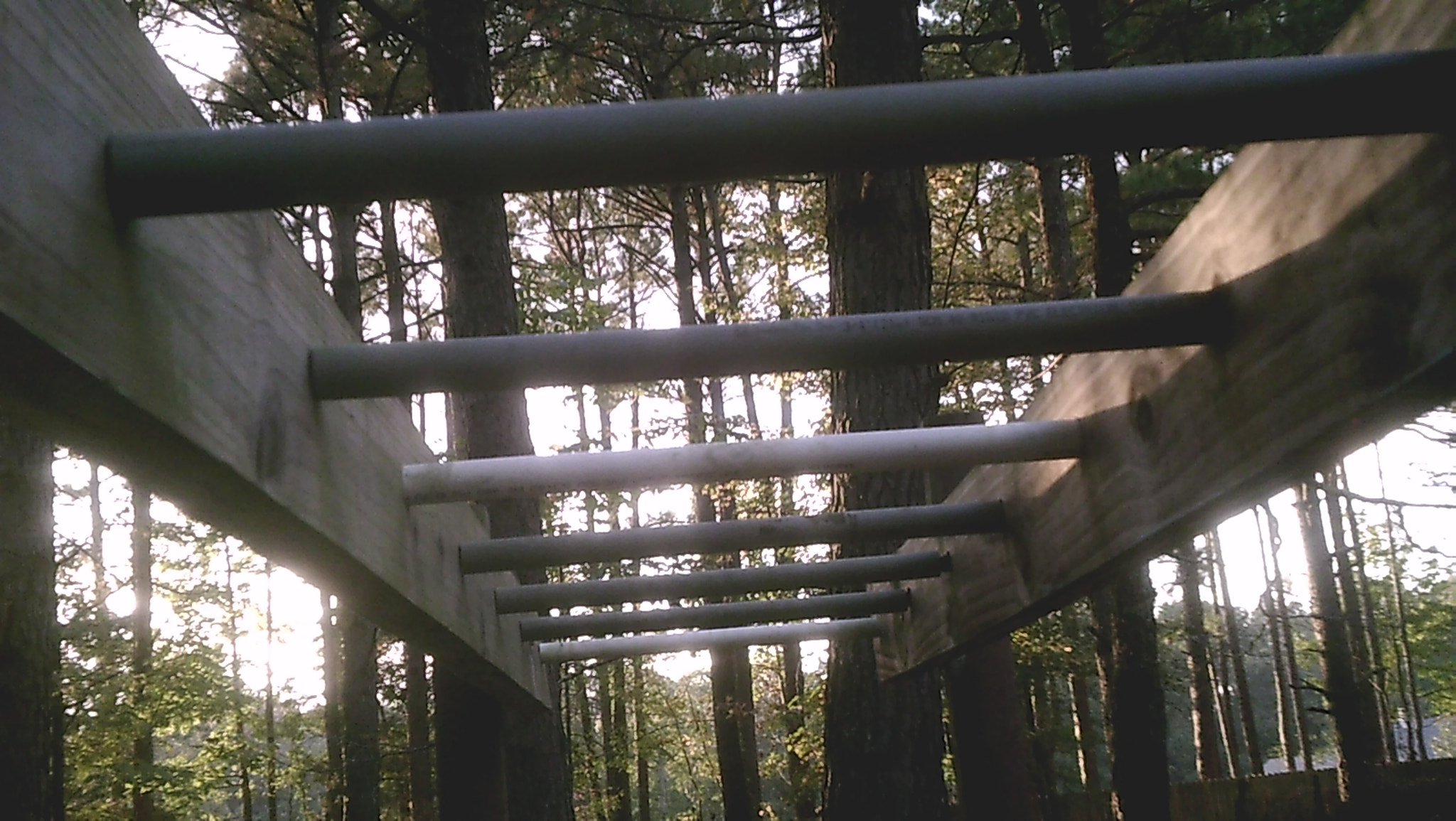 Icatch Spca1628 sample photo. Natural monkey bars photography