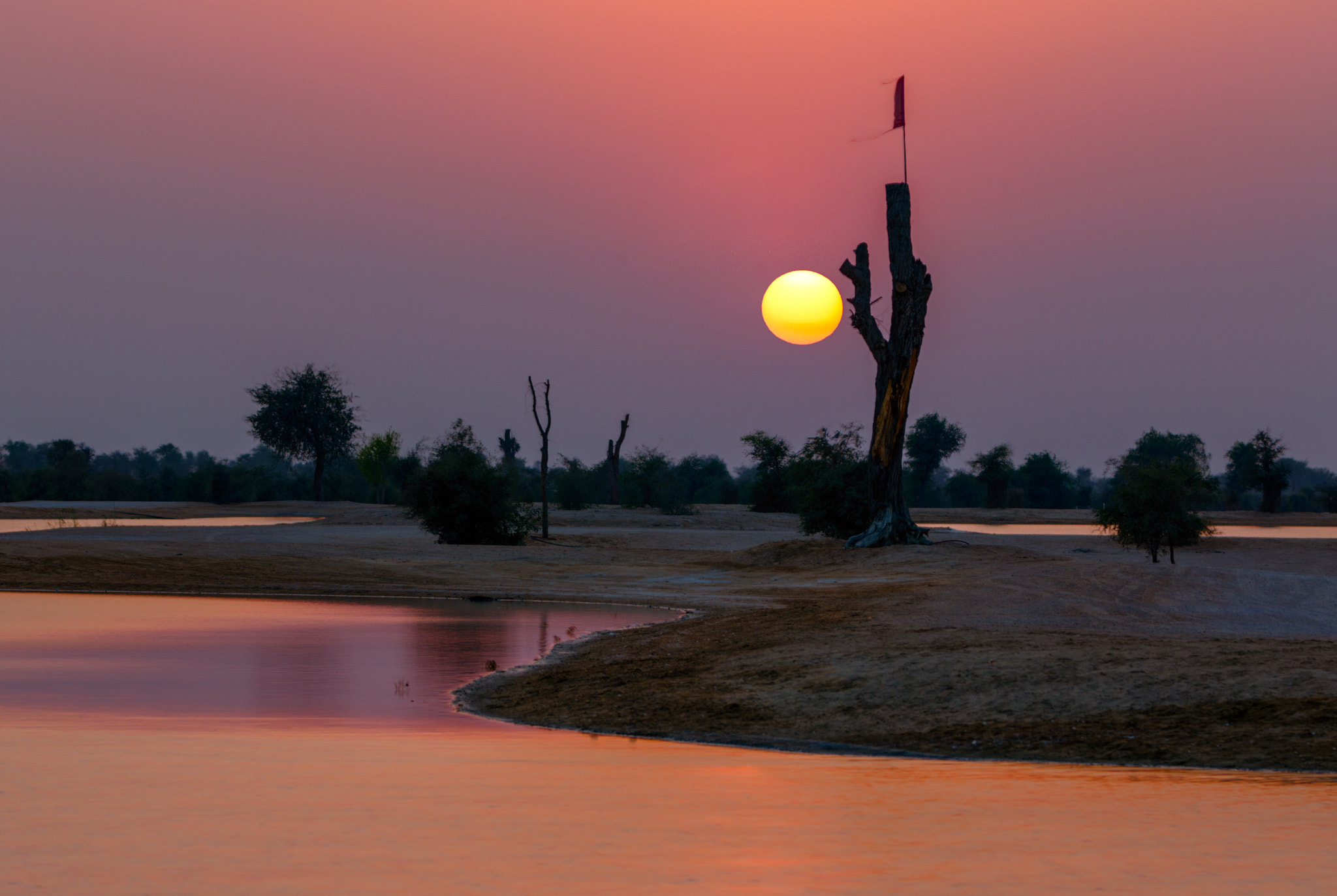 Canon EOS 6D + Canon EF 70-200mm F2.8L IS II USM sample photo. Sunset at the oasis photography