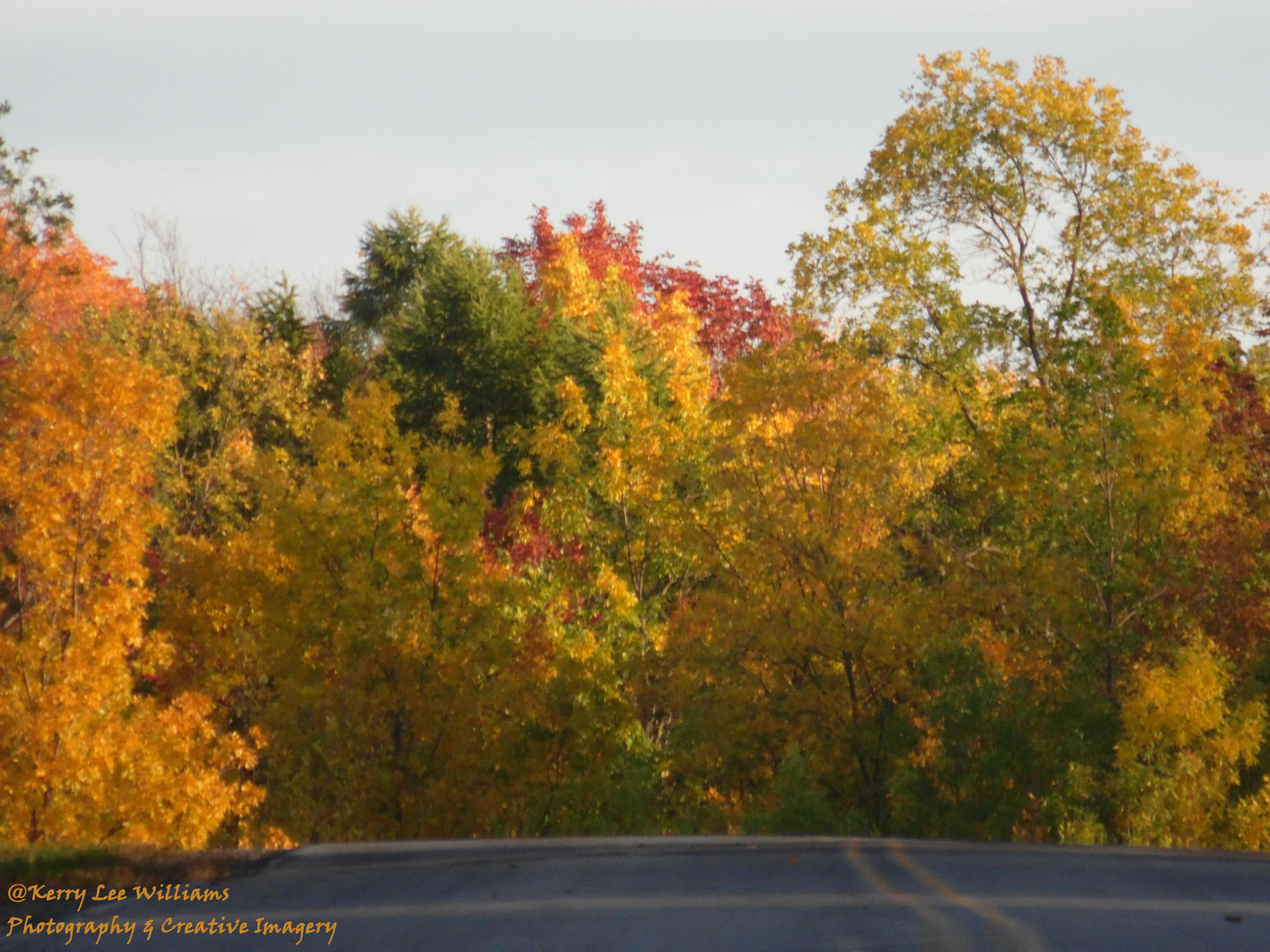 Samsung WB110/  WB111 sample photo. My road photography