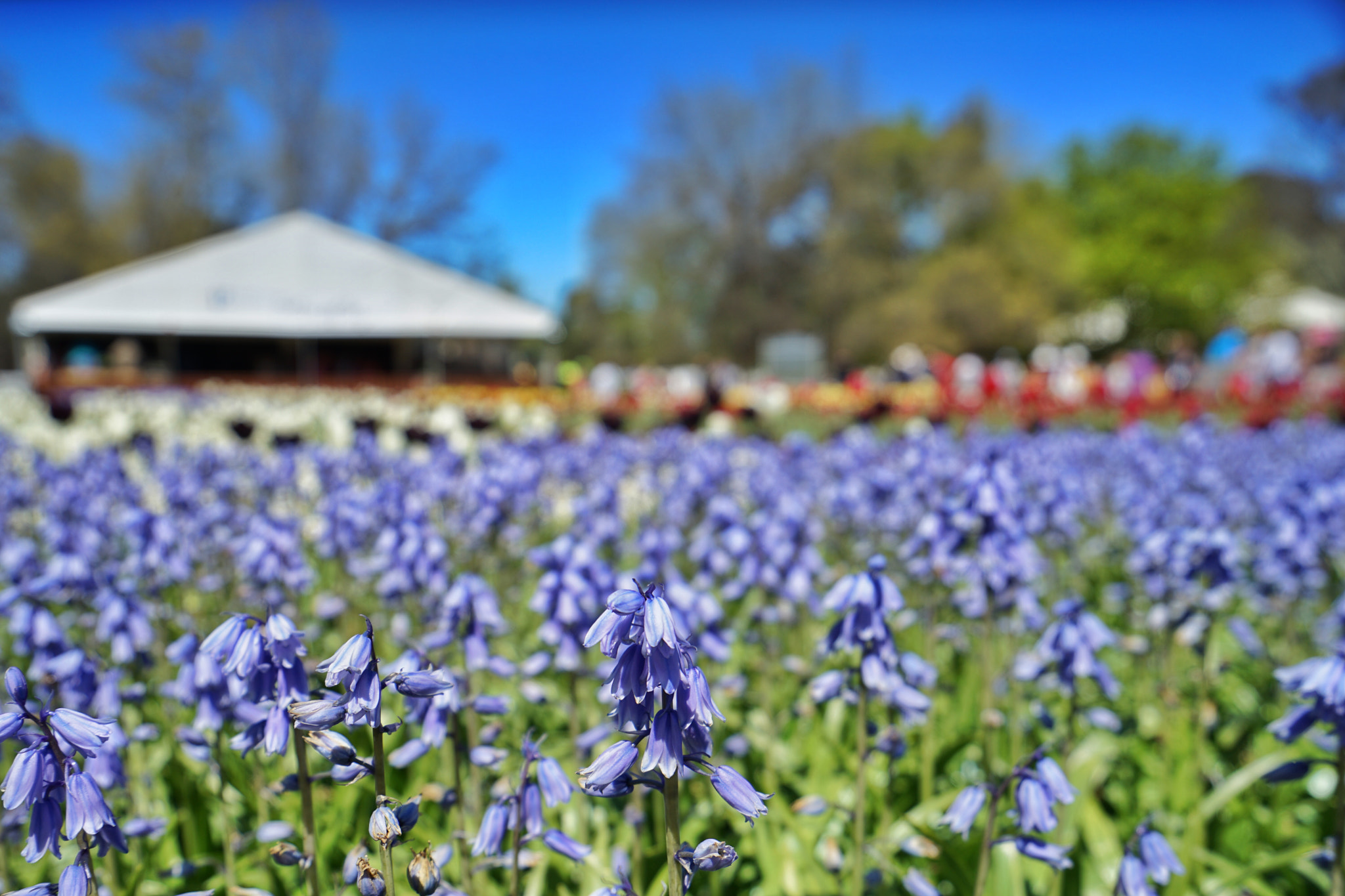 Sony a7 II + Sony Vario-Tessar T* FE 16-35mm F4 ZA OSS sample photo. Untitled photography