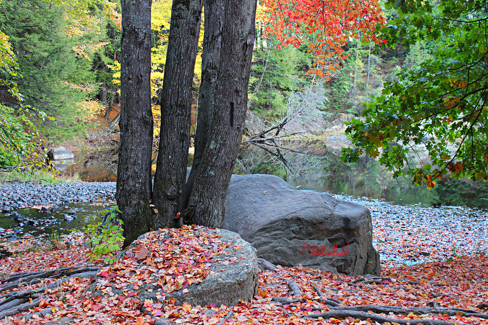 18.0 - 55.0 mm sample photo. Serenity - loose yourself into colors photography