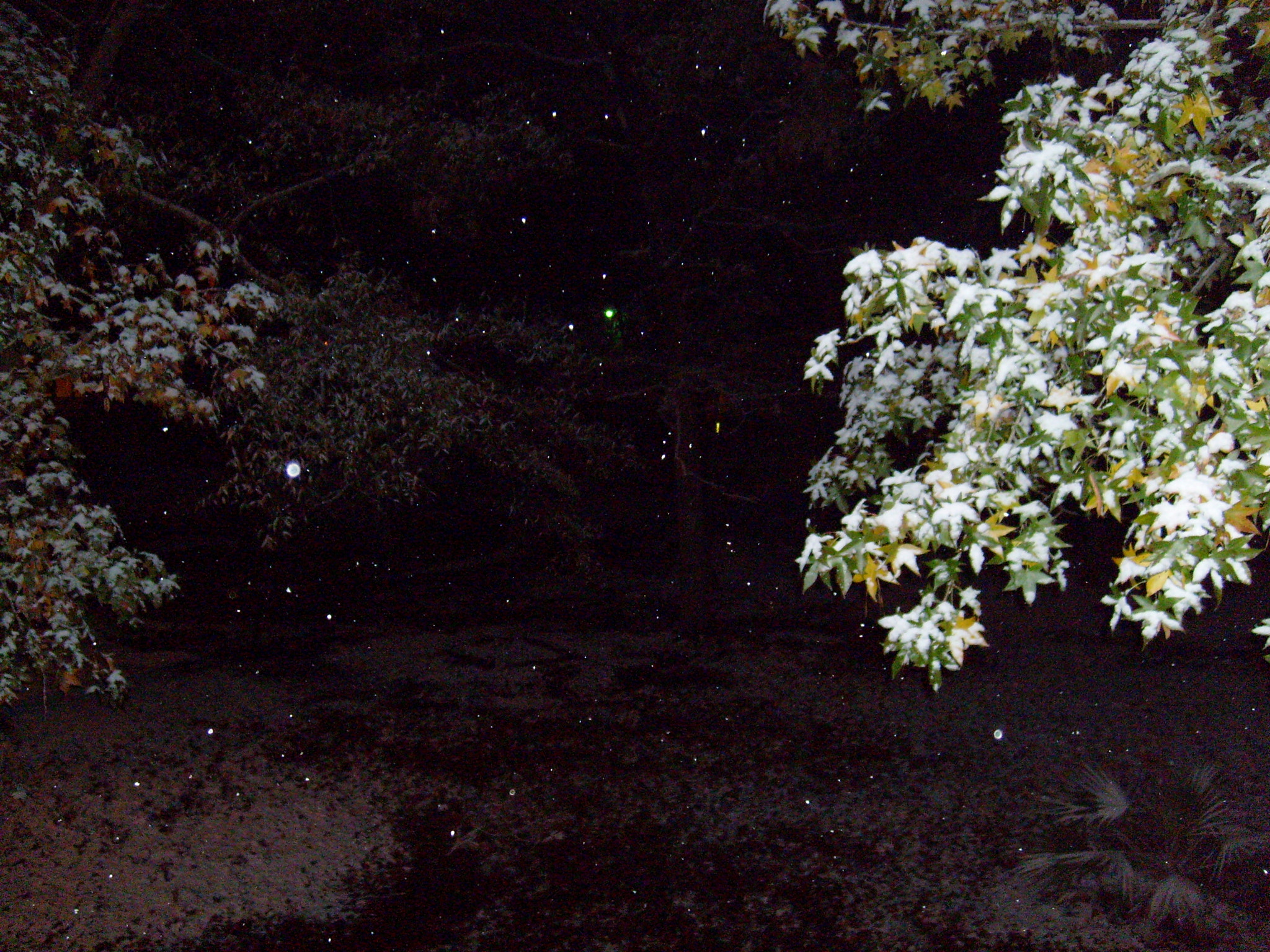 Samsung KENOX S730  / Samsung S730 sample photo. Snow in texas photography