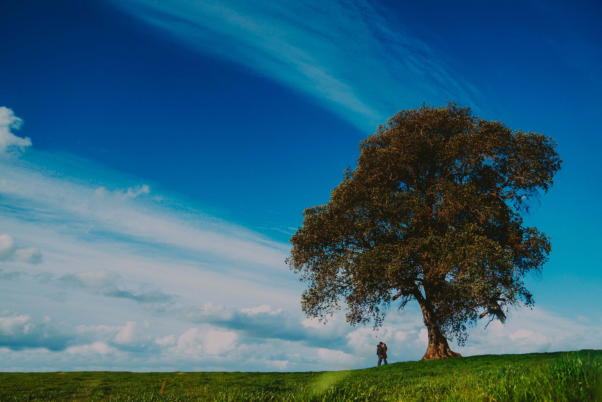 Sony a99 II sample photo. Landscape photography