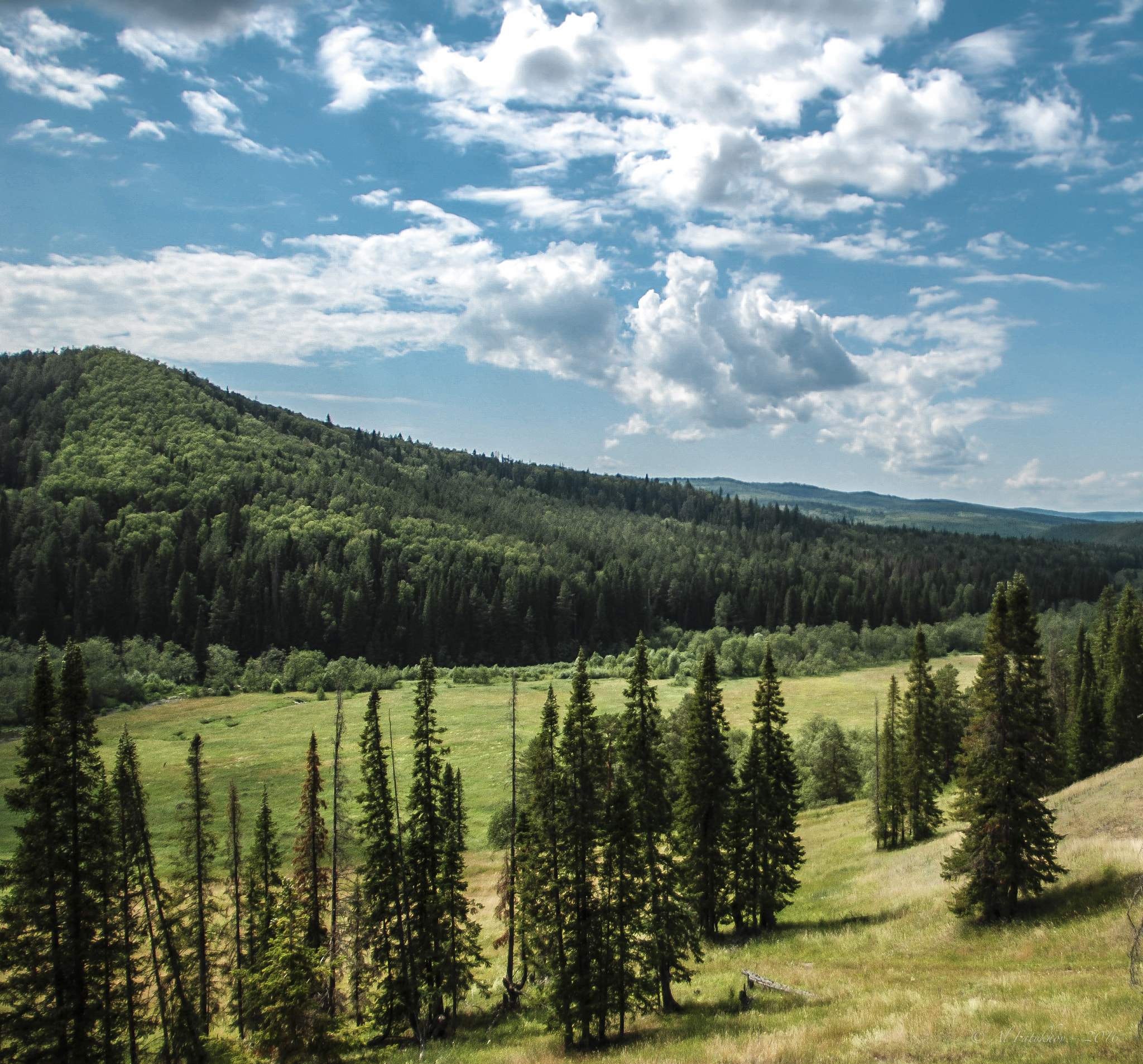 Nikon D80 sample photo. Siberia photography