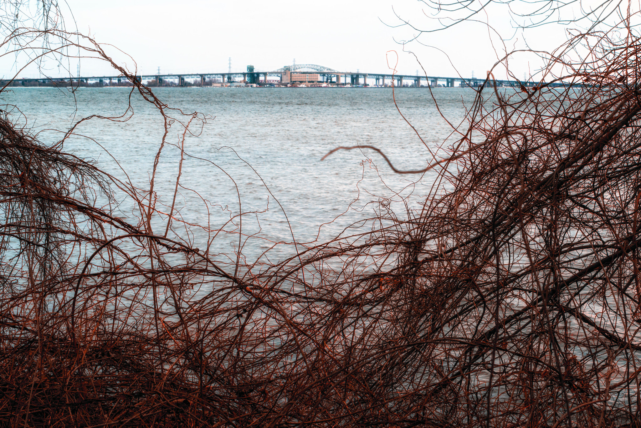 Panasonic Lumix DMC-GX1 sample photo. La salle park & marina photography