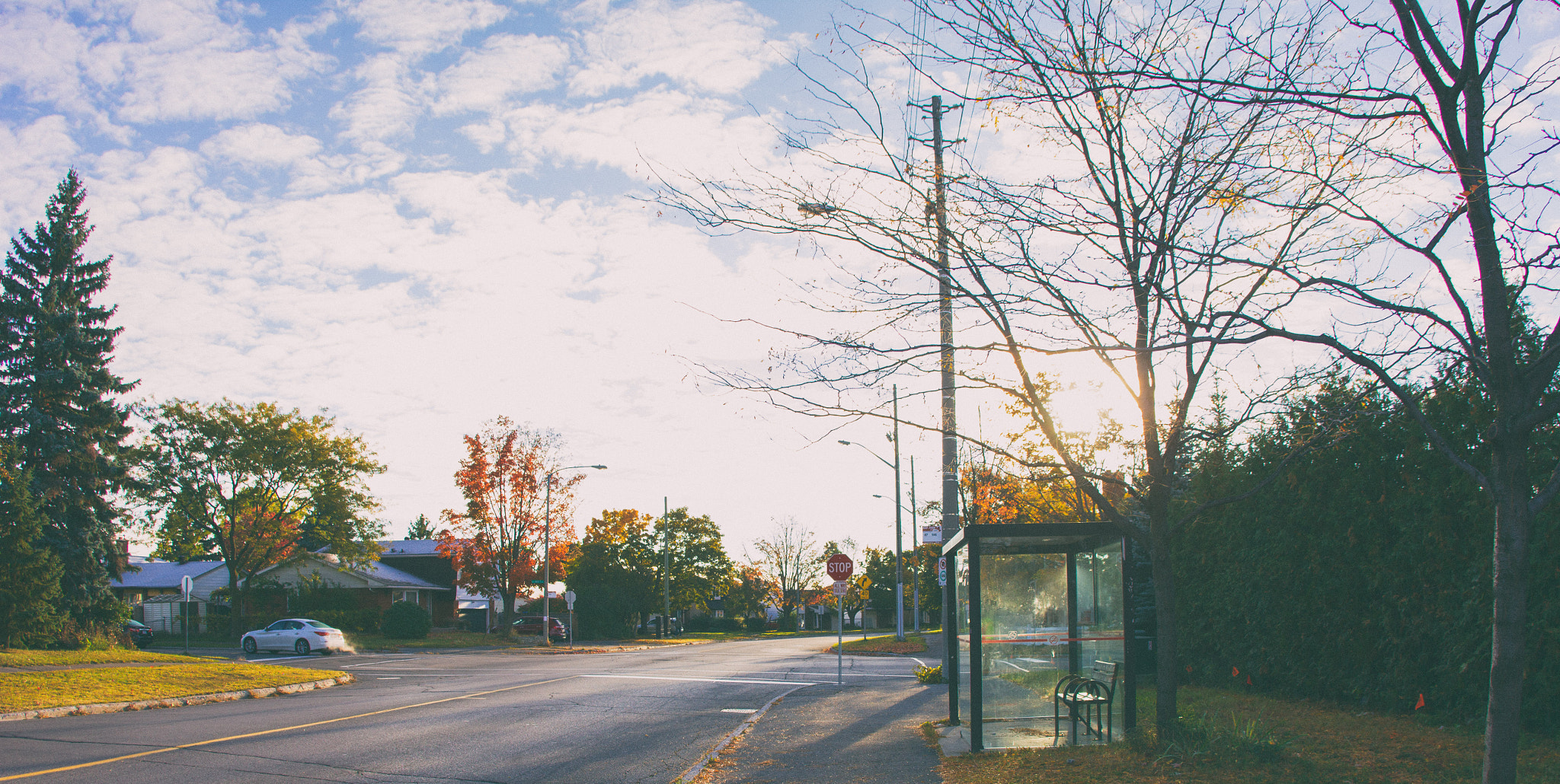 Canon EF 15mm F2.8 Fisheye sample photo