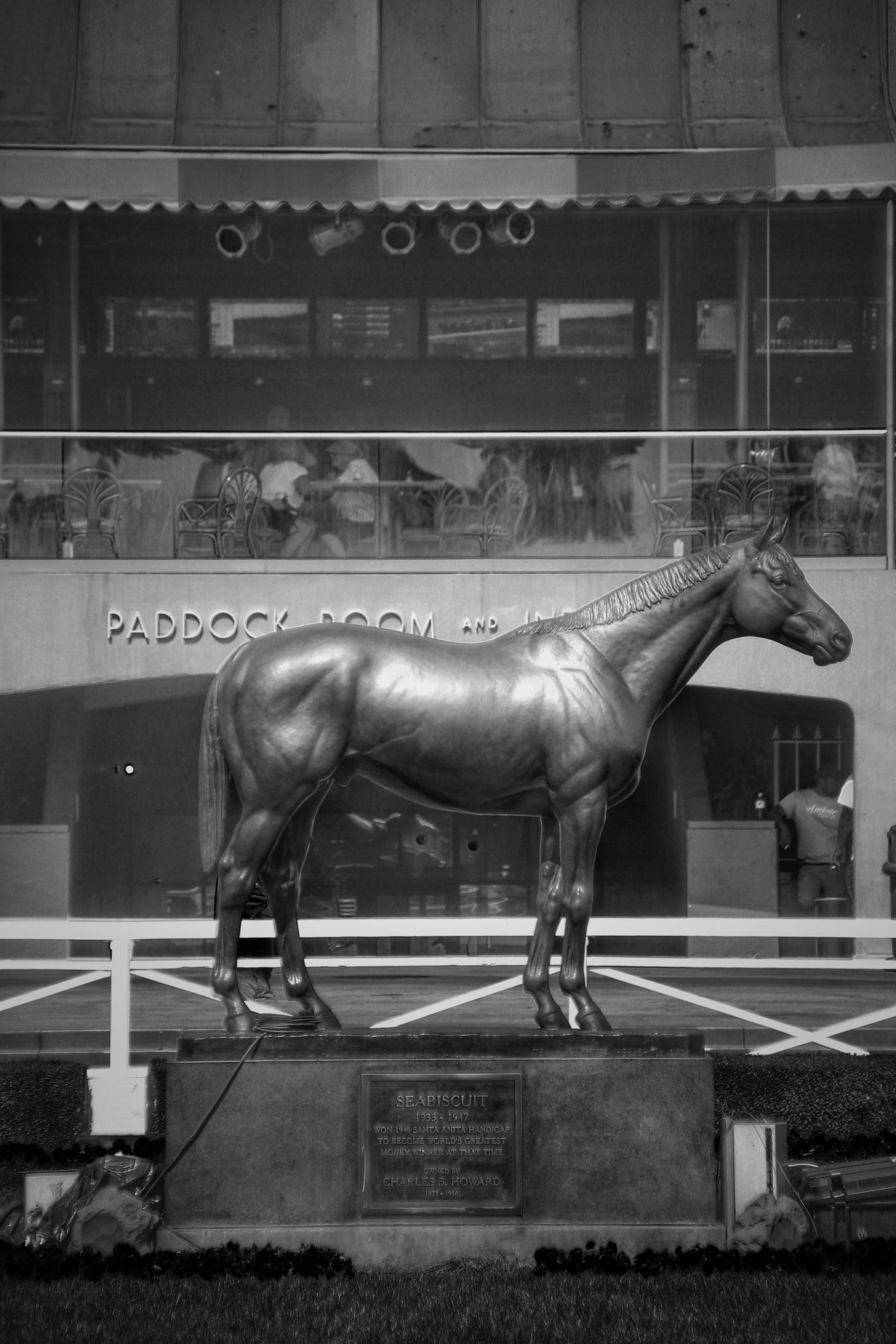 Canon EOS 600D (Rebel EOS T3i / EOS Kiss X5) + Canon 18-270mm sample photo. "paddock 'biscuit" photography