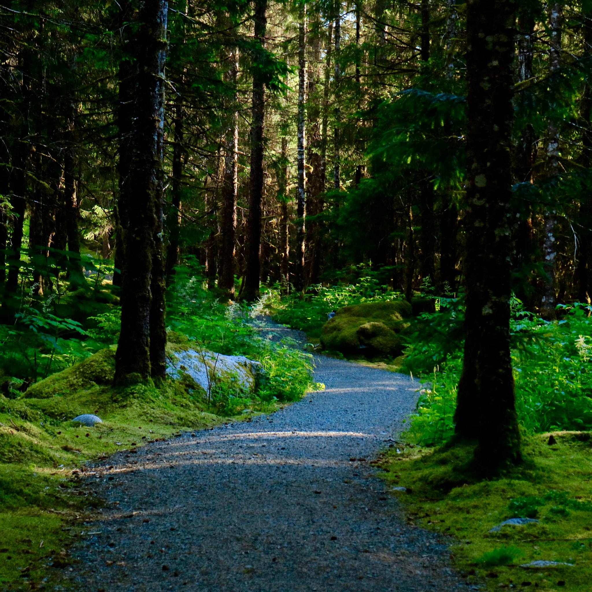 Canon EF-M 18-55mm F3.5-5.6 IS STM sample photo. Walking the wilderness- alaska photography