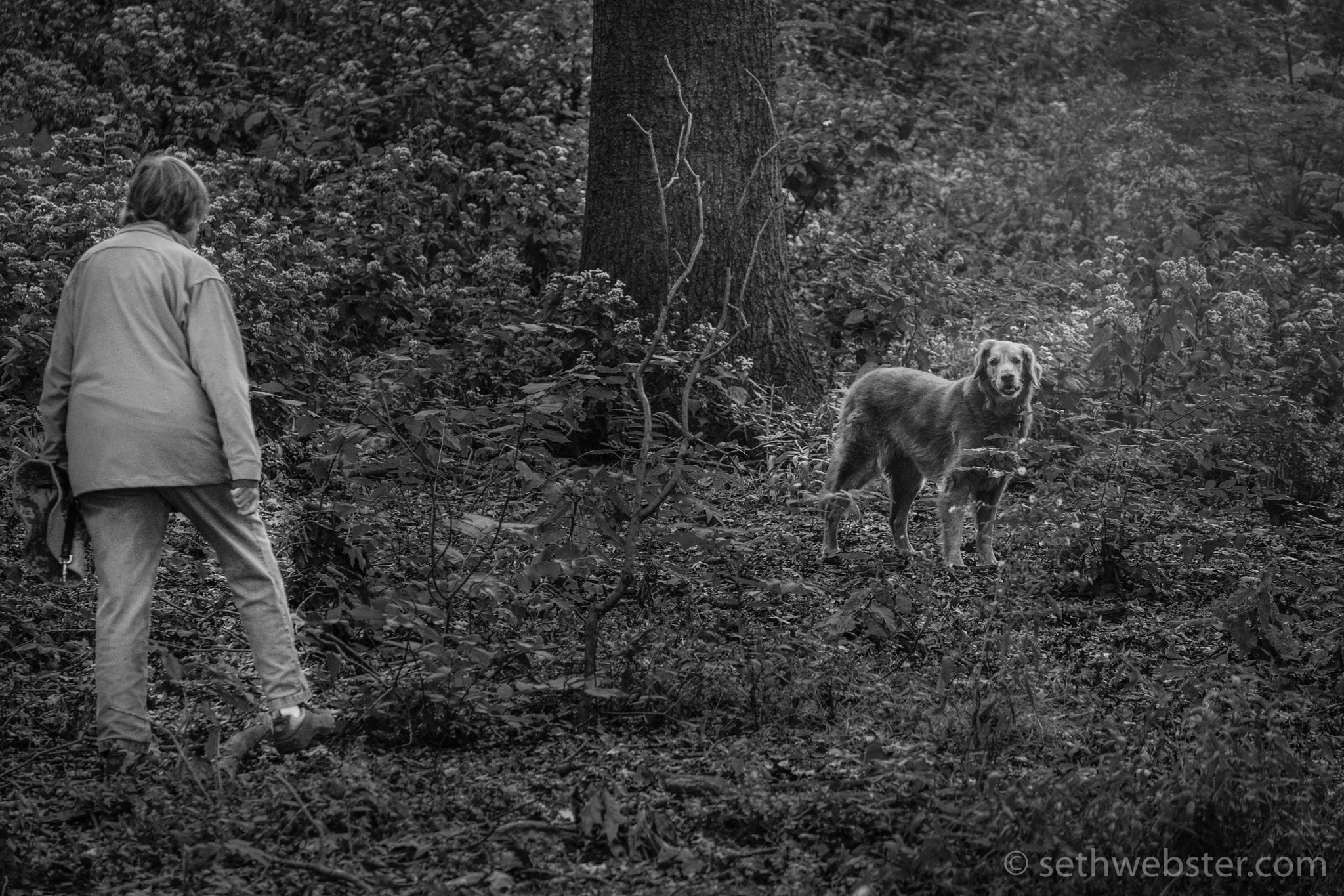 Fujifilm X-Pro2 + Fujifilm XF 55-200mm F3.5-4.8 R LM OIS sample photo. Riverside park duo photography