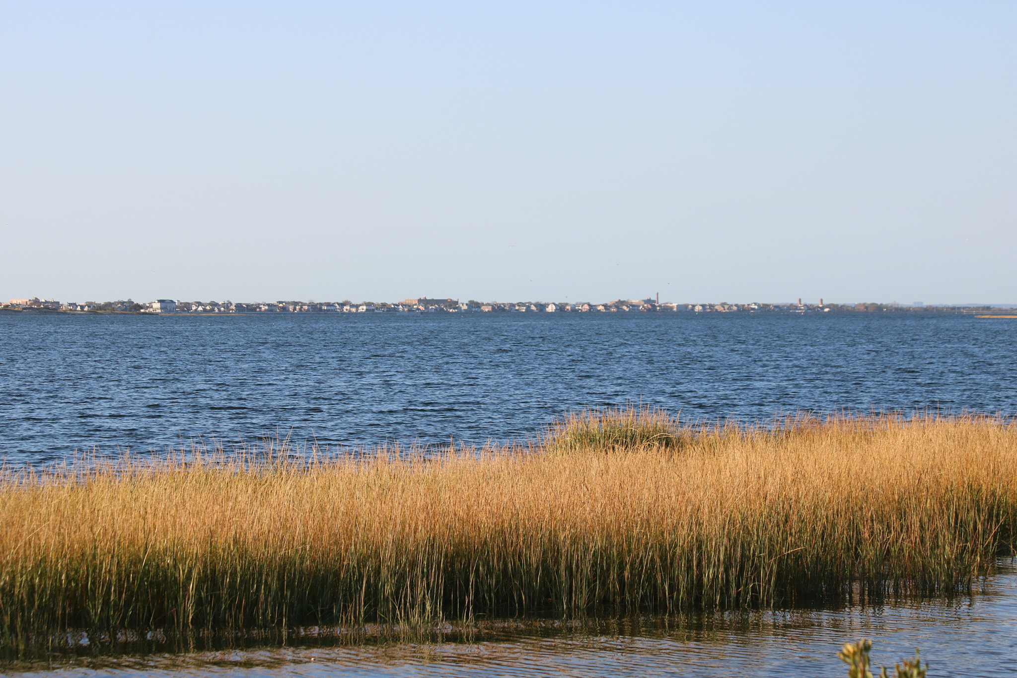 Canon EF 70-300mm F4-5.6 IS USM sample photo. Img photography