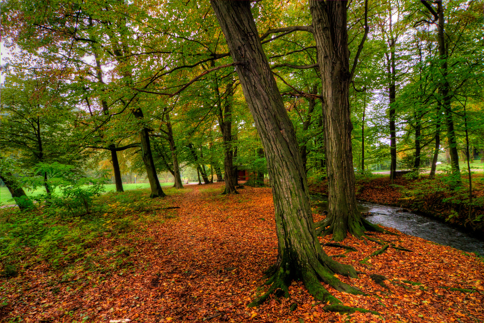 Tokina AT-X Pro 12-24mm F4 (IF) DX sample photo. Zimrovice photography