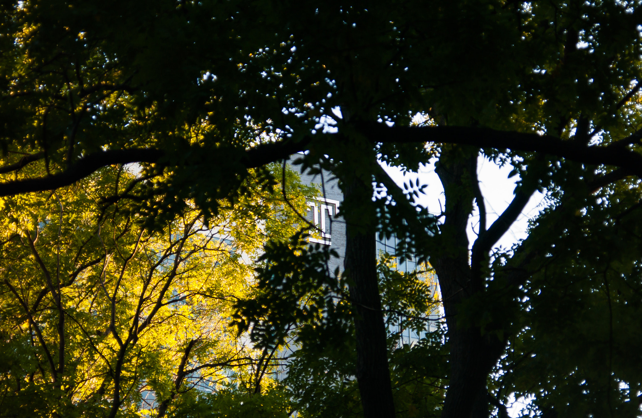Nikon D1X sample photo. Temple '][' photography
