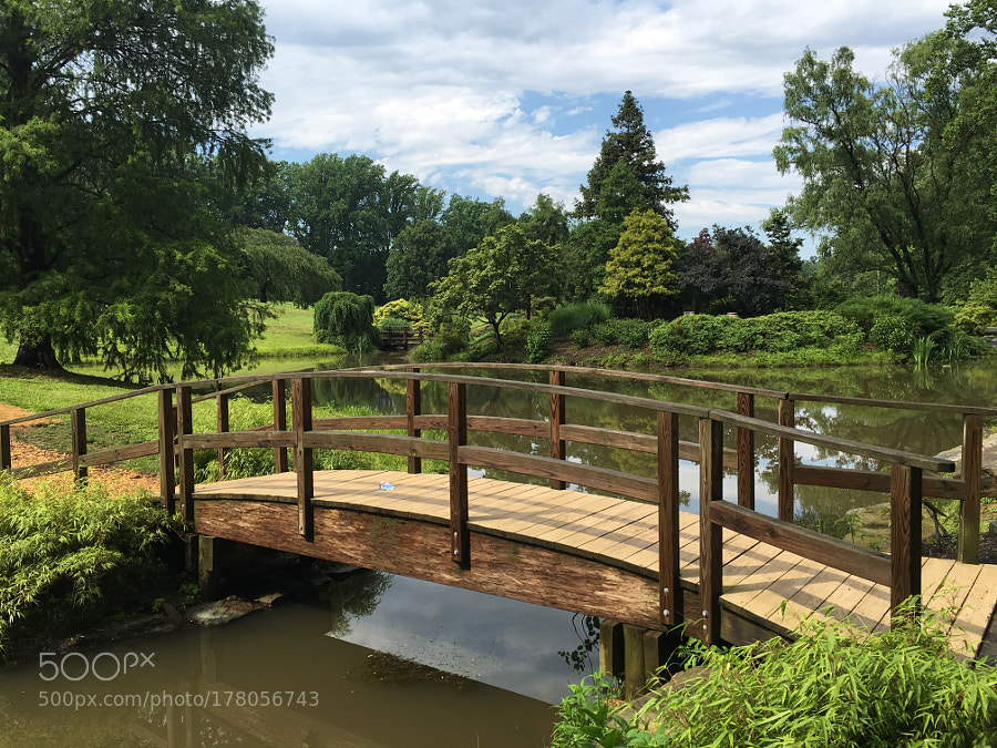 Bilcha A Bilchayu Photos 500px