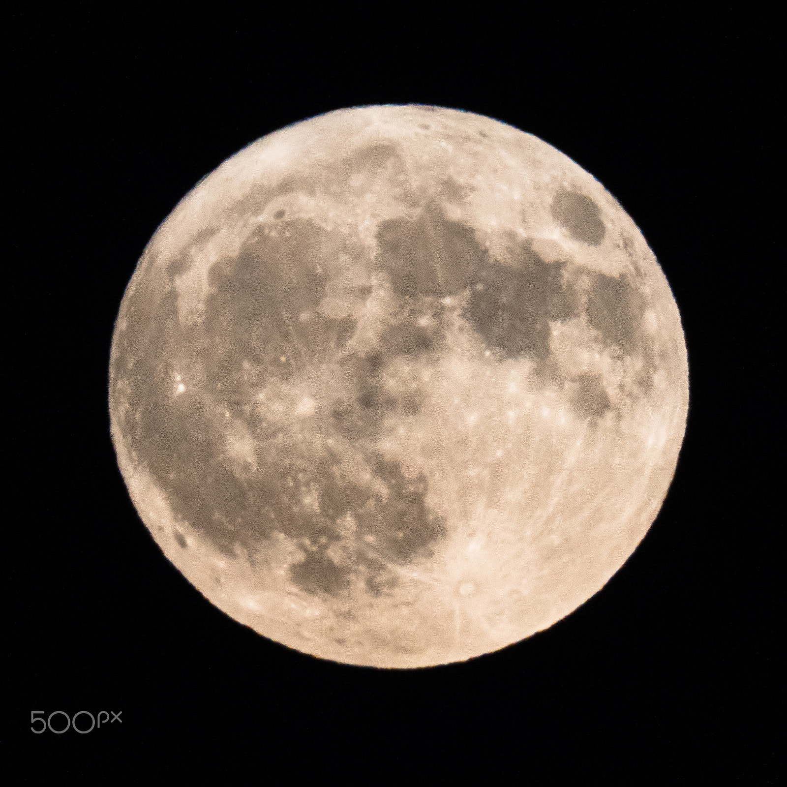 Canon EF 100-400mm F4.5-5.6L IS USM sample photo. Hunter's moon photography