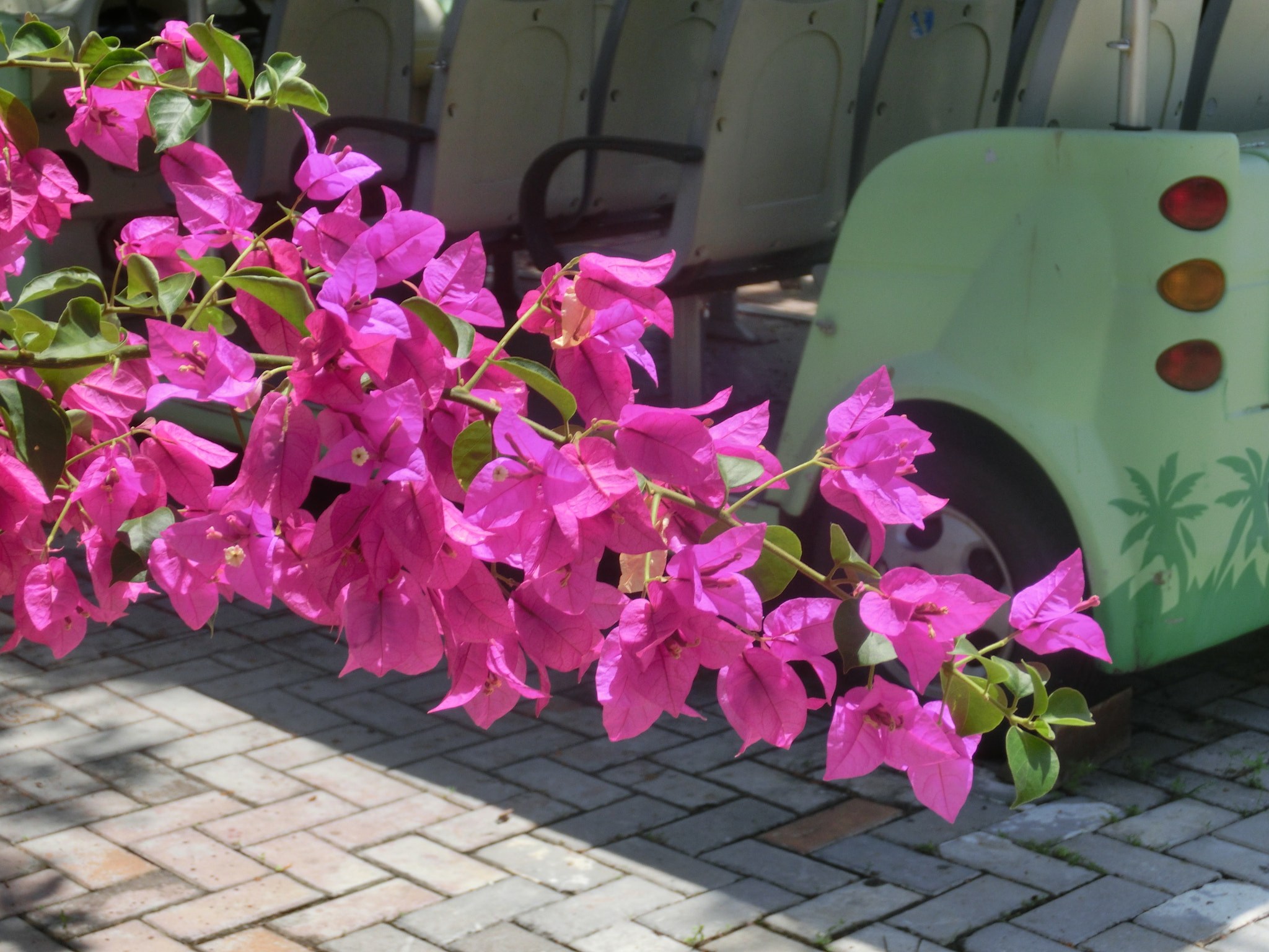 CASIO EX-ZR20 sample photo