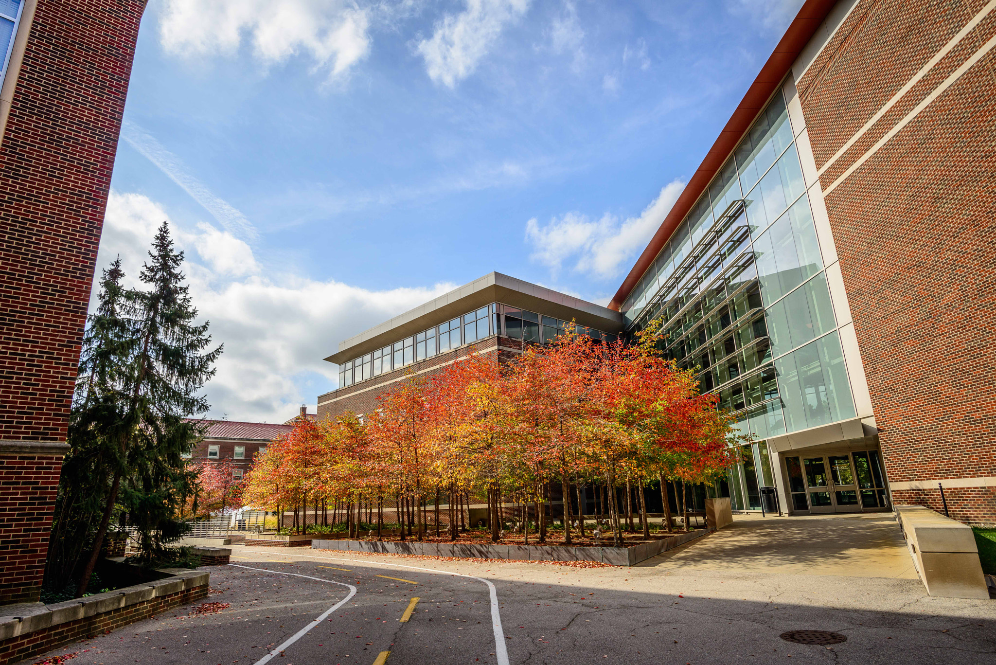 Nikon D800E + Nikon AF-S Nikkor 20mm F1.8G ED sample photo. Purdue university photography