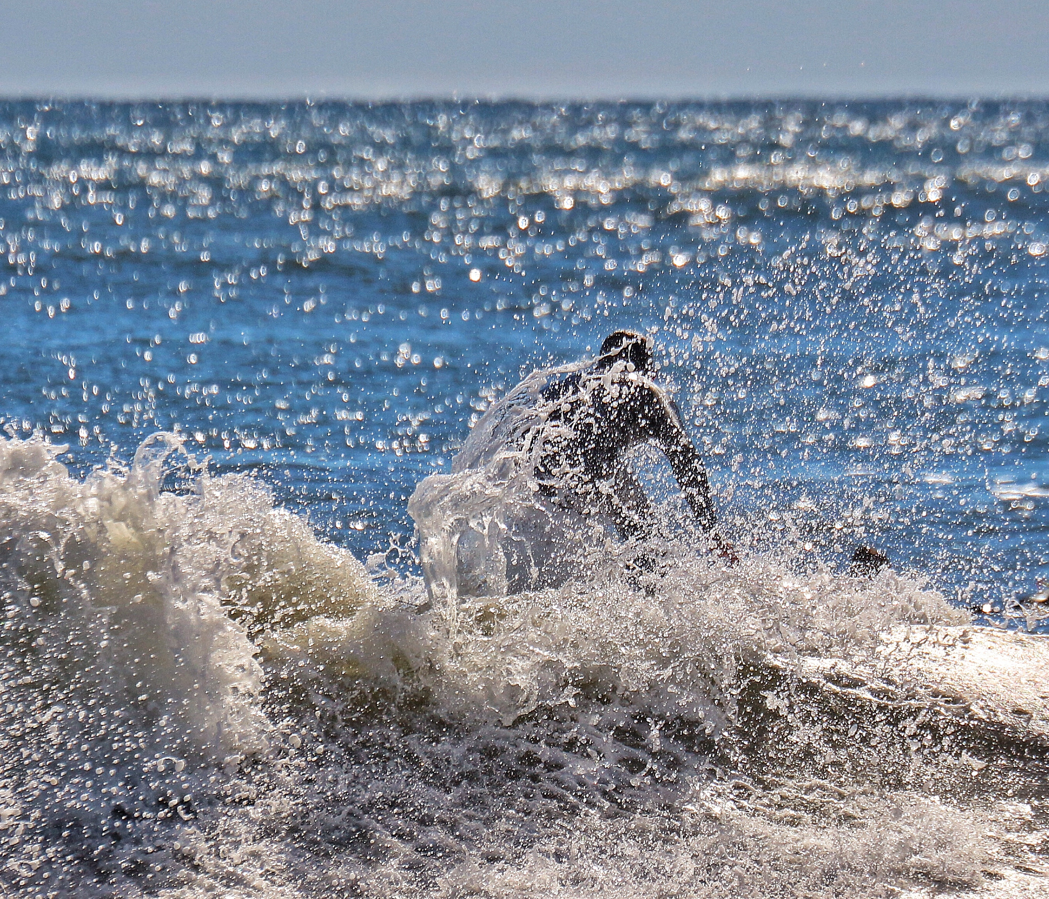 Canon EF 70-300mm F4-5.6L IS USM sample photo. Surfer series photography