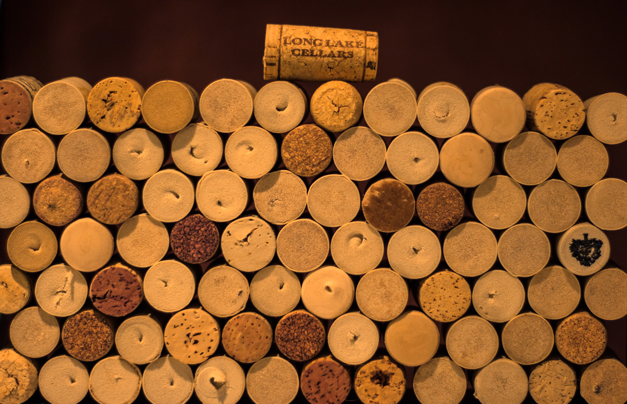 Canon EOS 760D (EOS Rebel T6s / EOS 8000D) sample photo. 99 corks on the wall photography