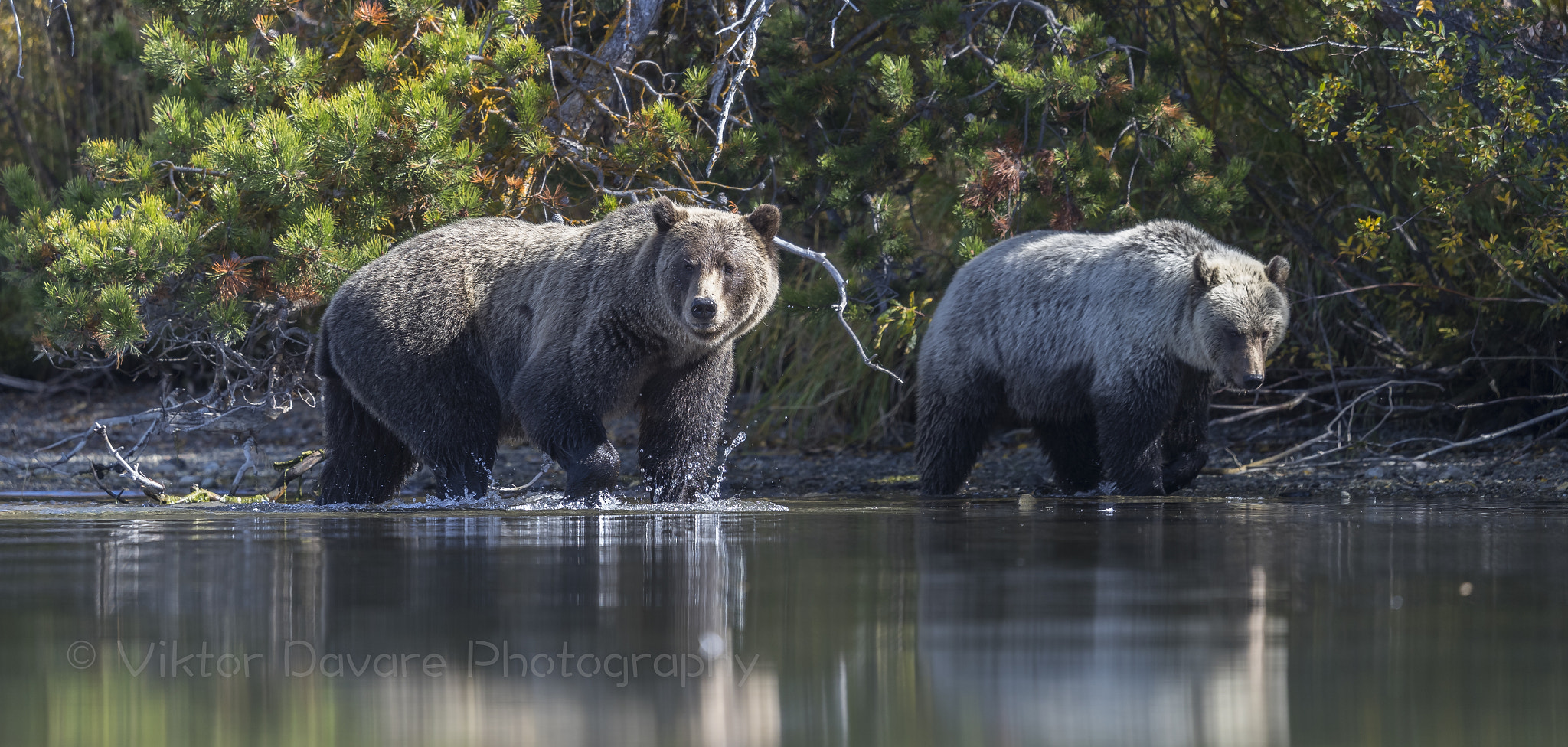 Canon EF 400mm F2.8L IS II USM sample photo. Lets catch a fish photography