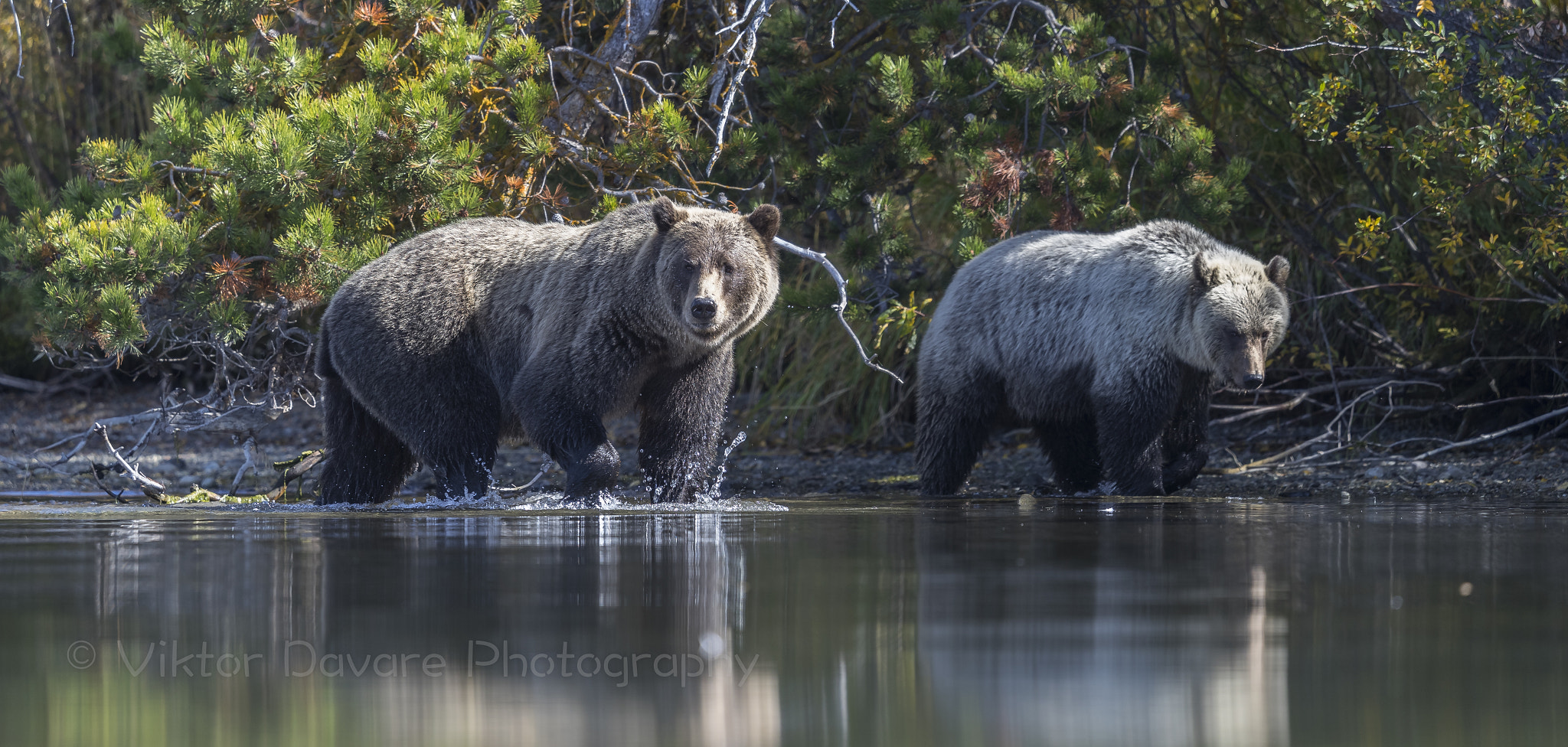 Canon EOS-1D X Mark II + Canon EF 400mm F2.8L IS II USM sample photo. Lets catch a fish photography