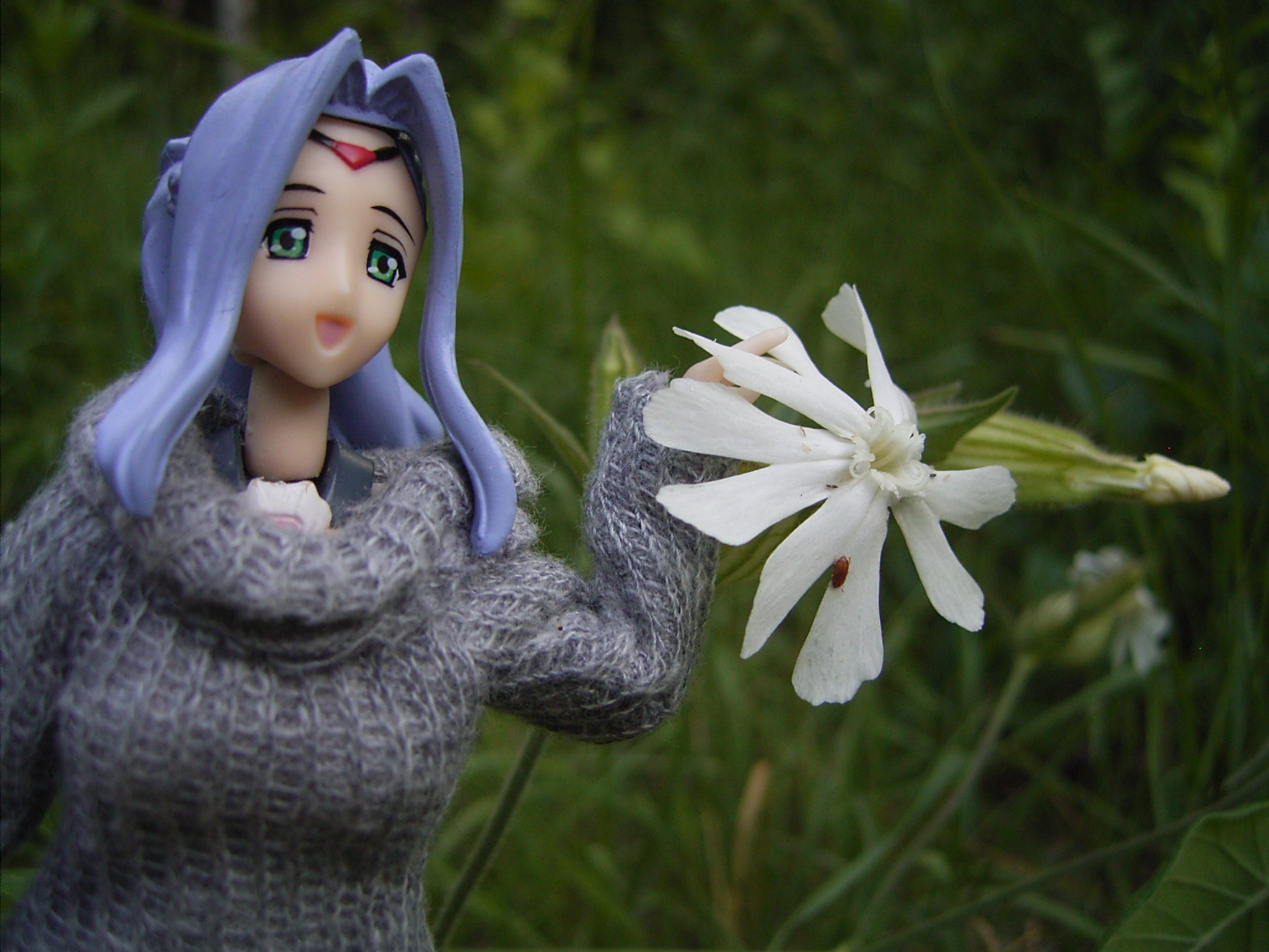Ricoh Caplio G4 sample photo