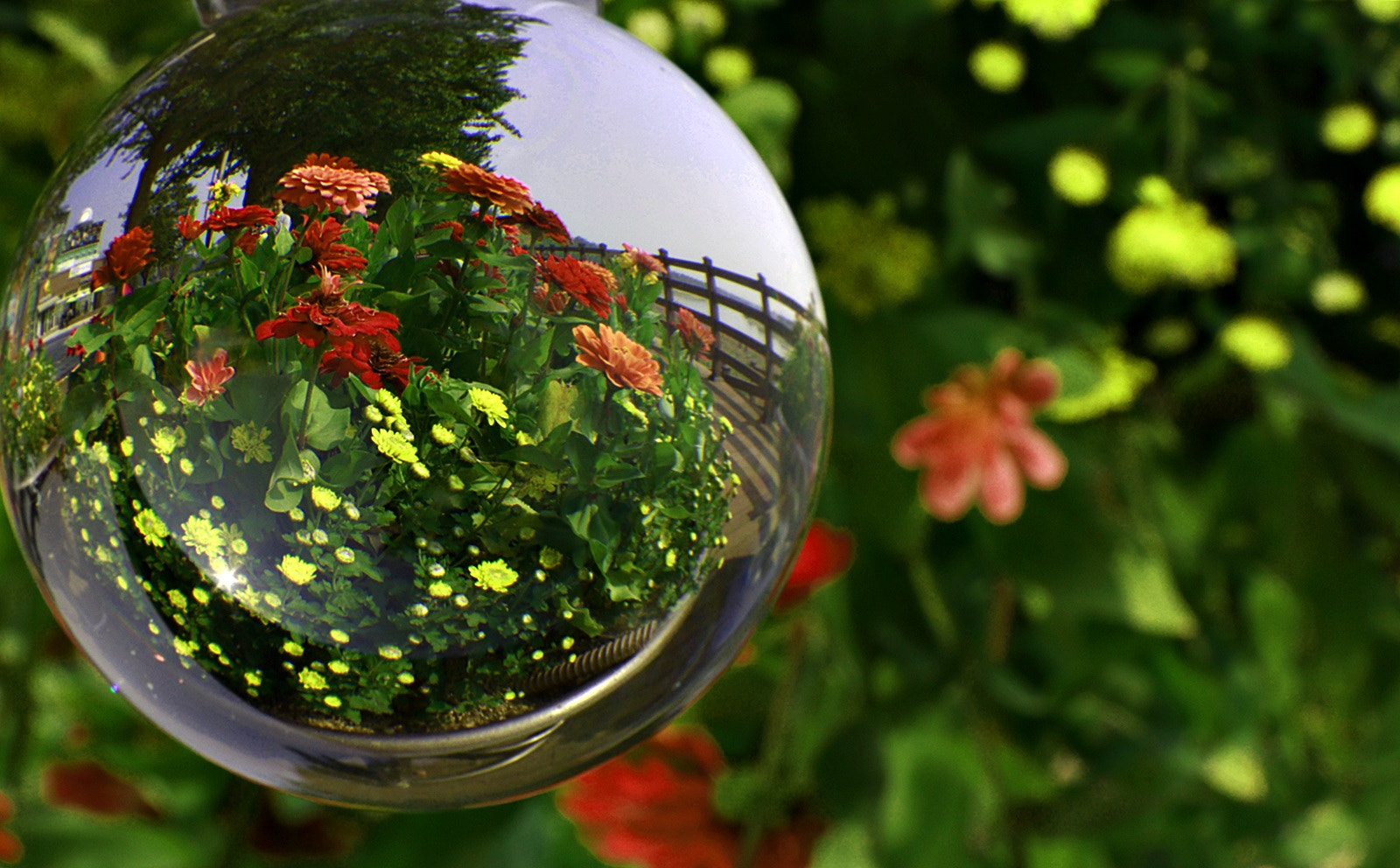 Canon EOS 750D (EOS Rebel T6i / EOS Kiss X8i) sample photo. Ball art photography