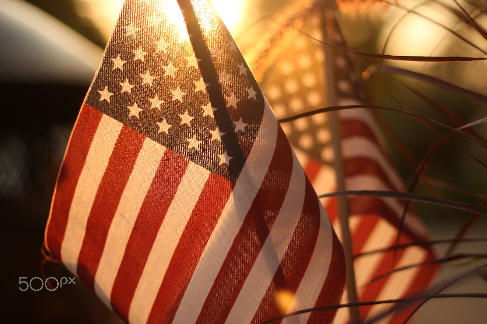 Canon EOS 1000D (EOS Digital Rebel XS / EOS Kiss F) sample photo. American pride photography